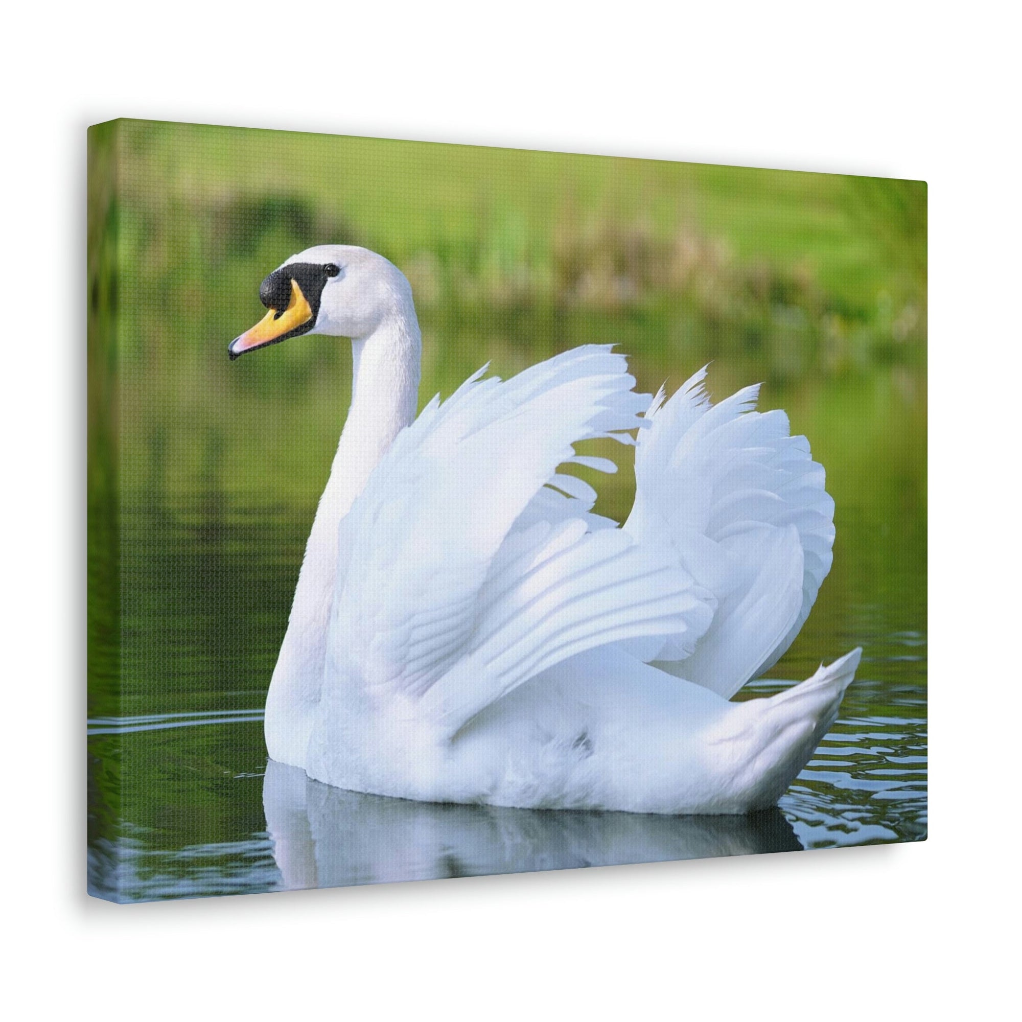 Scripture Walls Majestic Swan Art Majestic Swan Print Animal Wall Art Wildlife Canvas Prints Wall Art Ready to Hang Unframed-Express Your Love Gifts