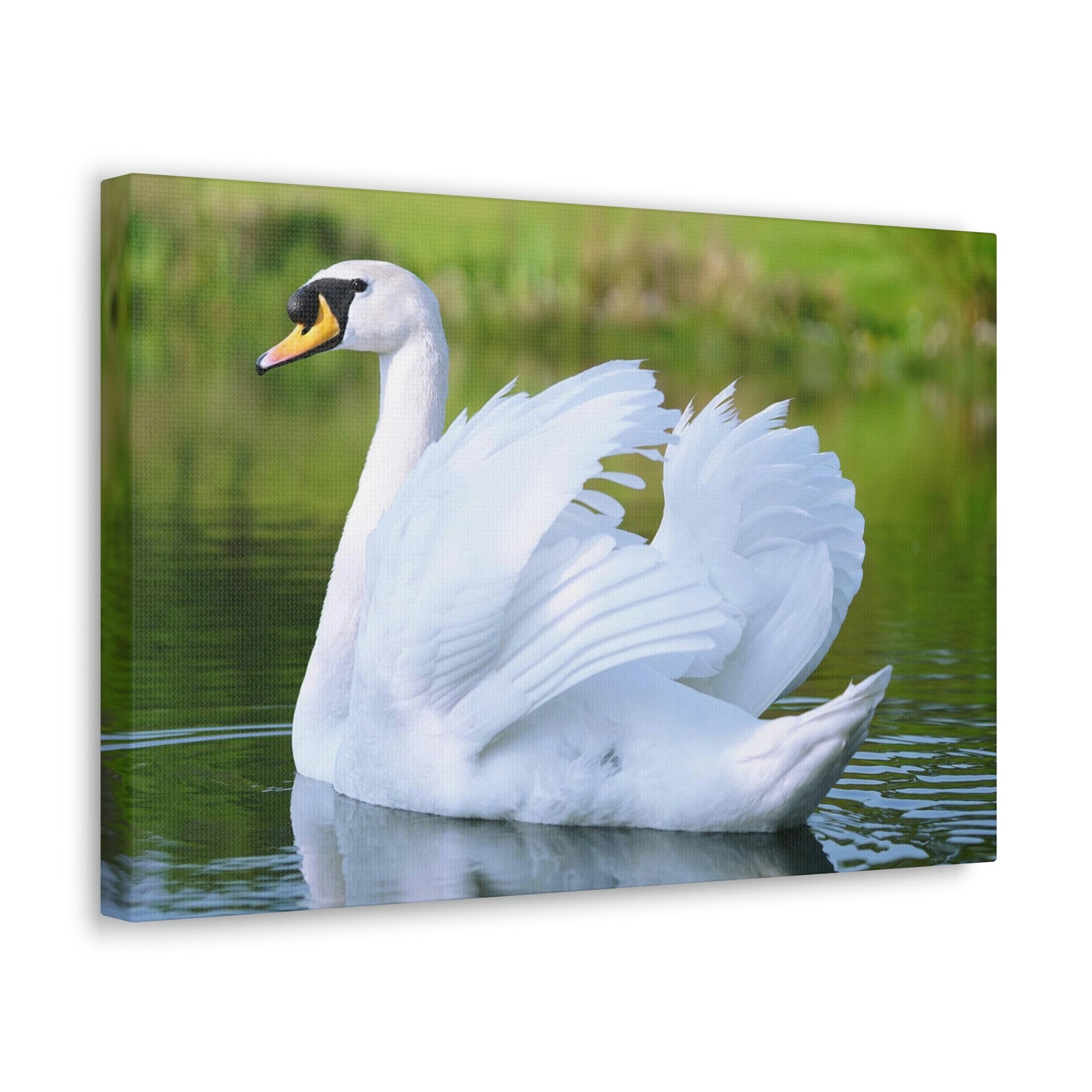 Scripture Walls Majestic Swan Art Majestic Swan Print Animal Wall Art Wildlife Canvas Prints Wall Art Ready to Hang Unframed-Express Your Love Gifts