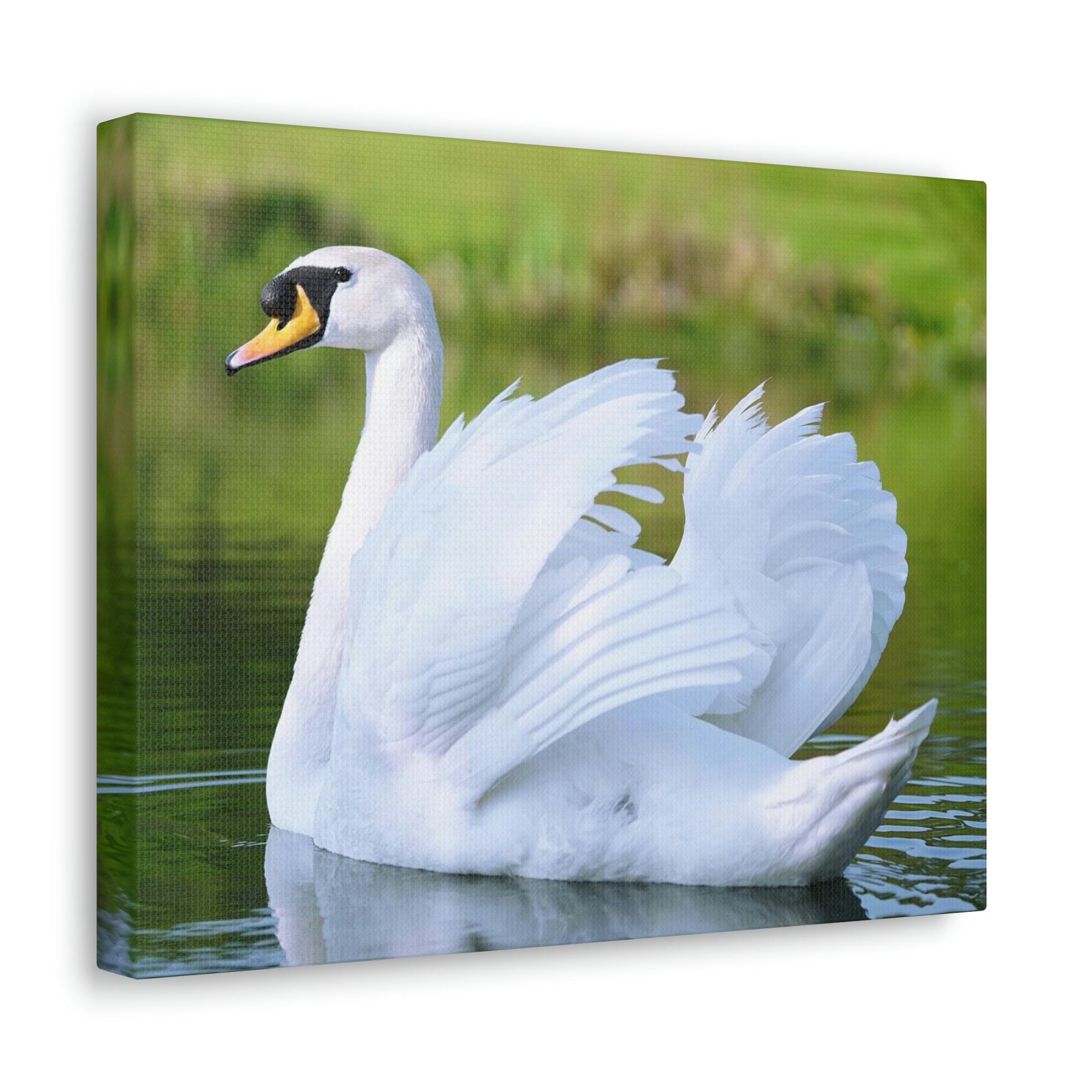 Scripture Walls Majestic Swan Art Majestic Swan Print Animal Wall Art Wildlife Canvas Prints Wall Art Ready to Hang Unframed-Express Your Love Gifts