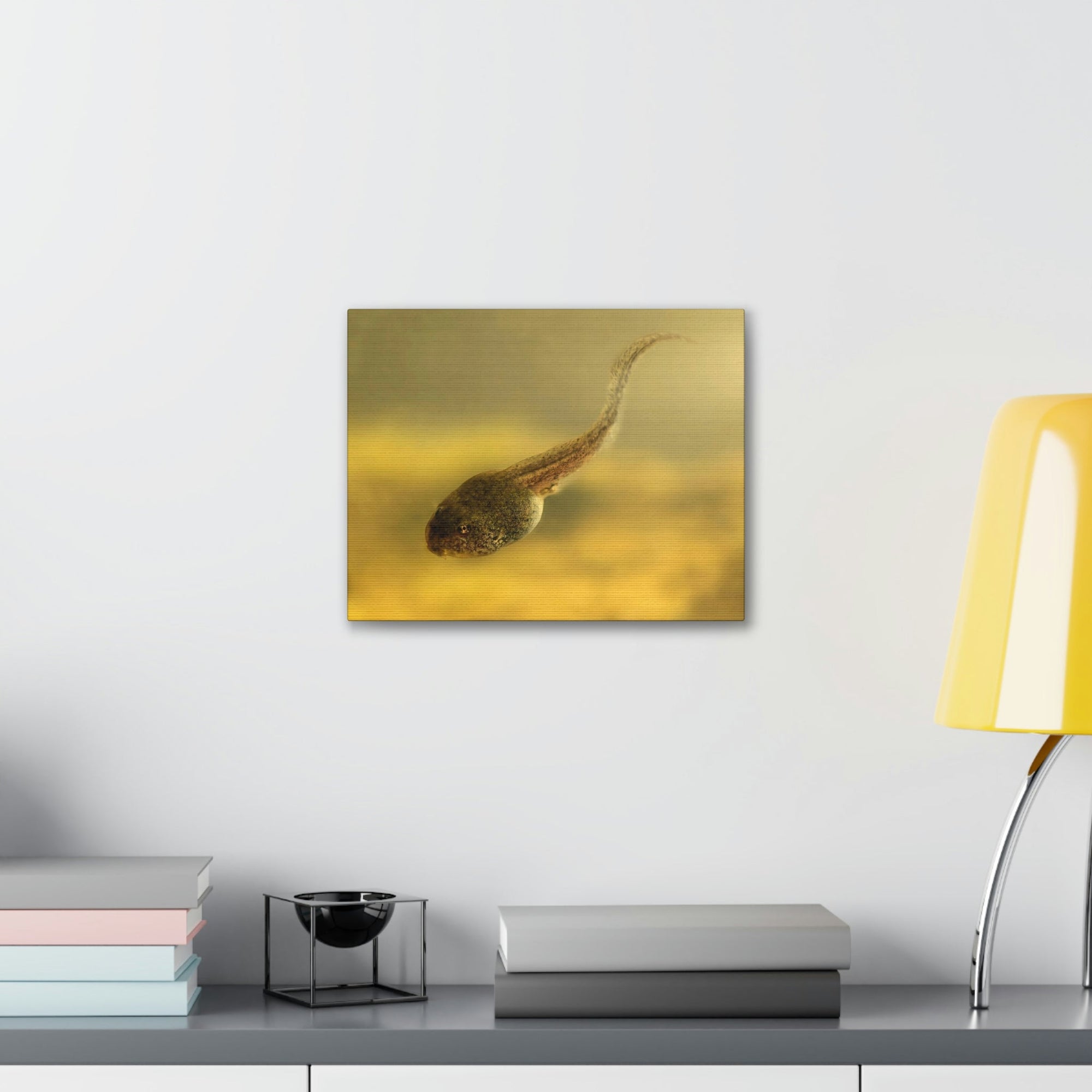 Scripture Walls Majestic Tadpole Art Majestic Tadpole Print Animal Wall Art Wildlife Canvas Prints Wall Art Ready to Hang Unframed-Express Your Love Gifts