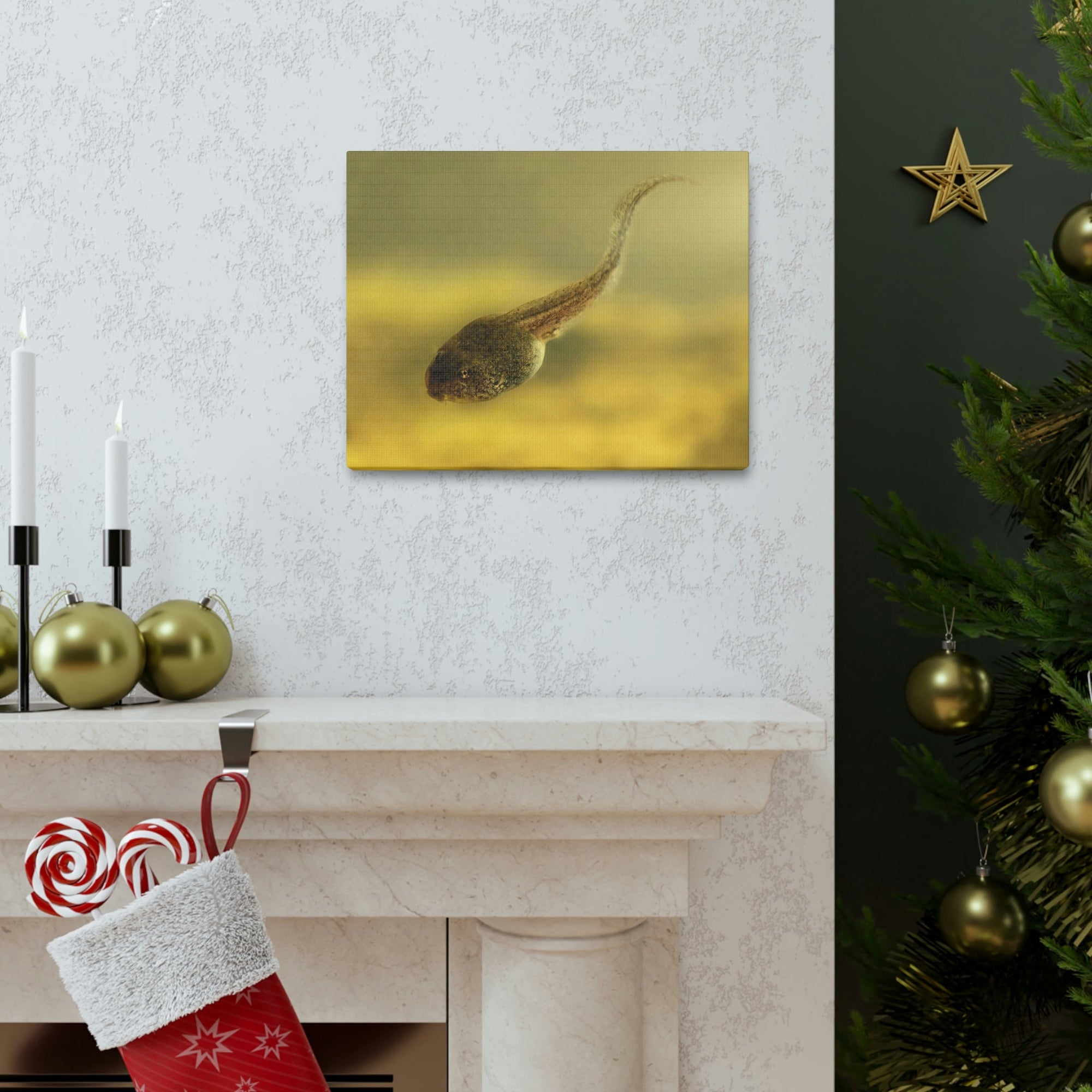 Scripture Walls Majestic Tadpole Art Majestic Tadpole Print Animal Wall Art Wildlife Canvas Prints Wall Art Ready to Hang Unframed-Express Your Love Gifts