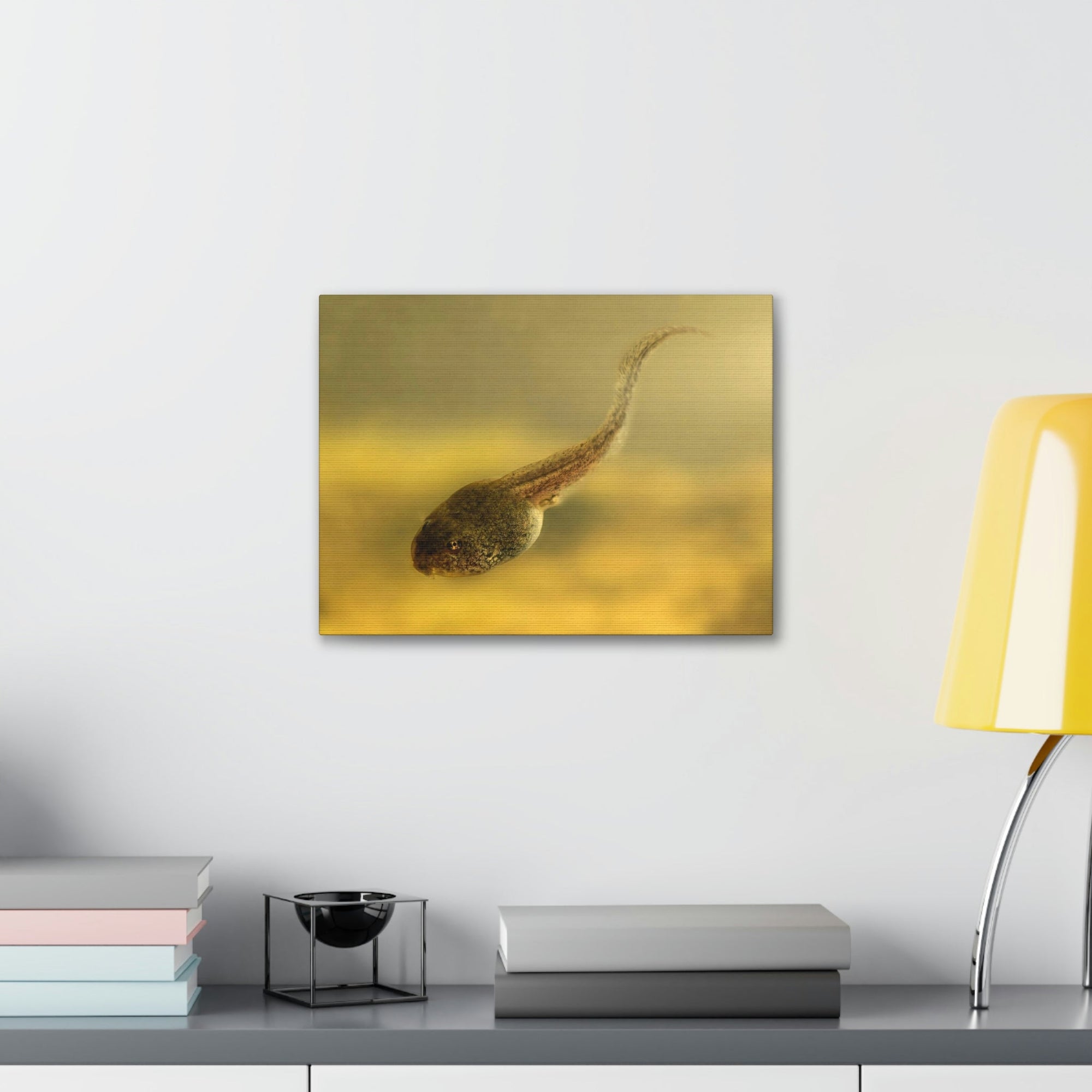 Scripture Walls Majestic Tadpole Art Majestic Tadpole Print Animal Wall Art Wildlife Canvas Prints Wall Art Ready to Hang Unframed-Express Your Love Gifts