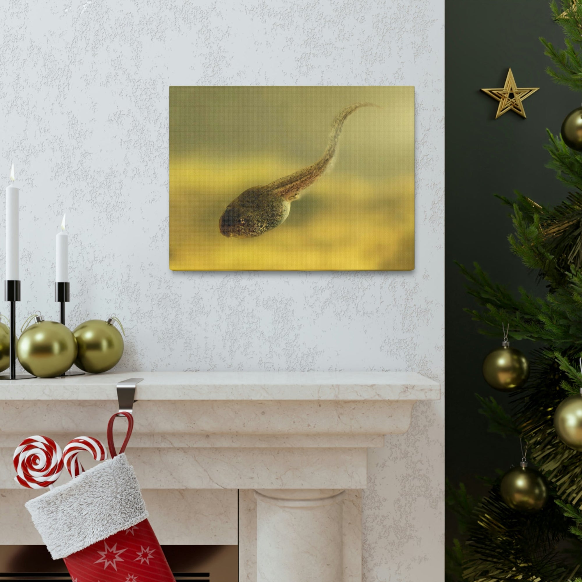 Scripture Walls Majestic Tadpole Art Majestic Tadpole Print Animal Wall Art Wildlife Canvas Prints Wall Art Ready to Hang Unframed-Express Your Love Gifts