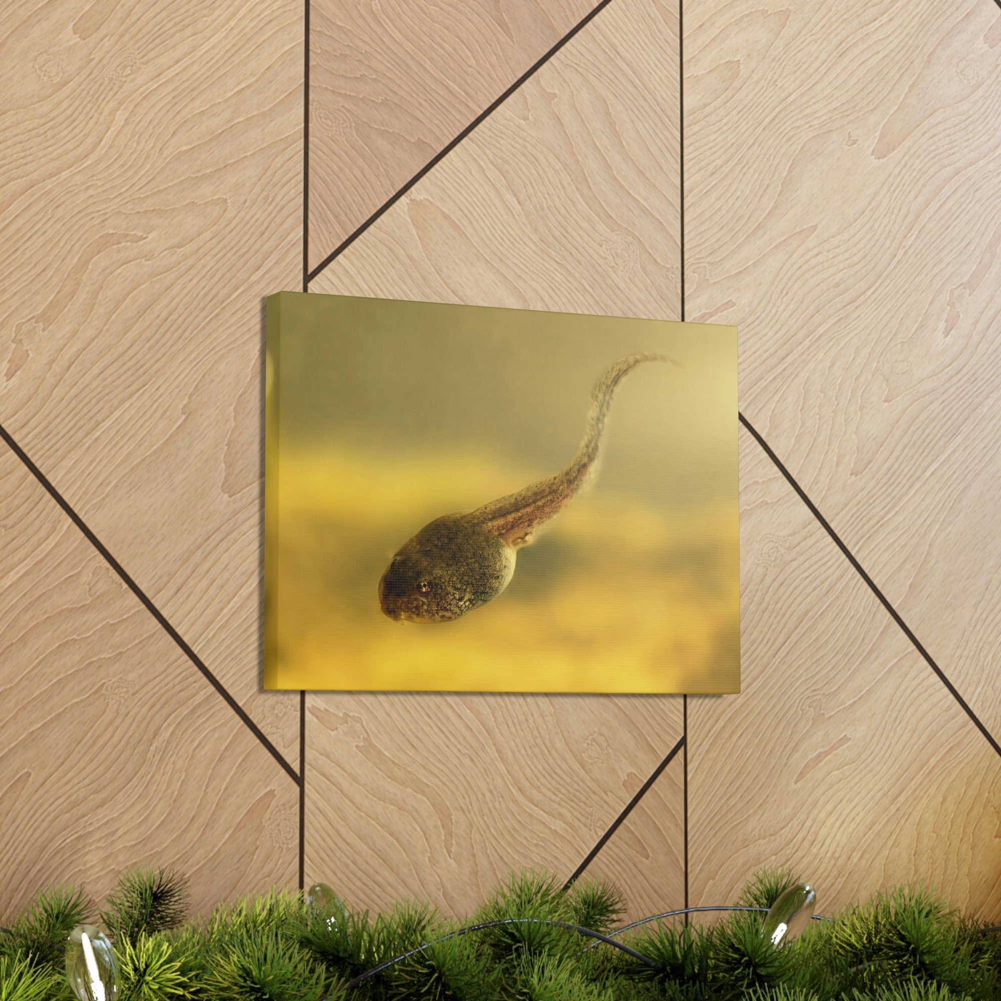 Scripture Walls Majestic Tadpole Art Majestic Tadpole Print Animal Wall Art Wildlife Canvas Prints Wall Art Ready to Hang Unframed-Express Your Love Gifts