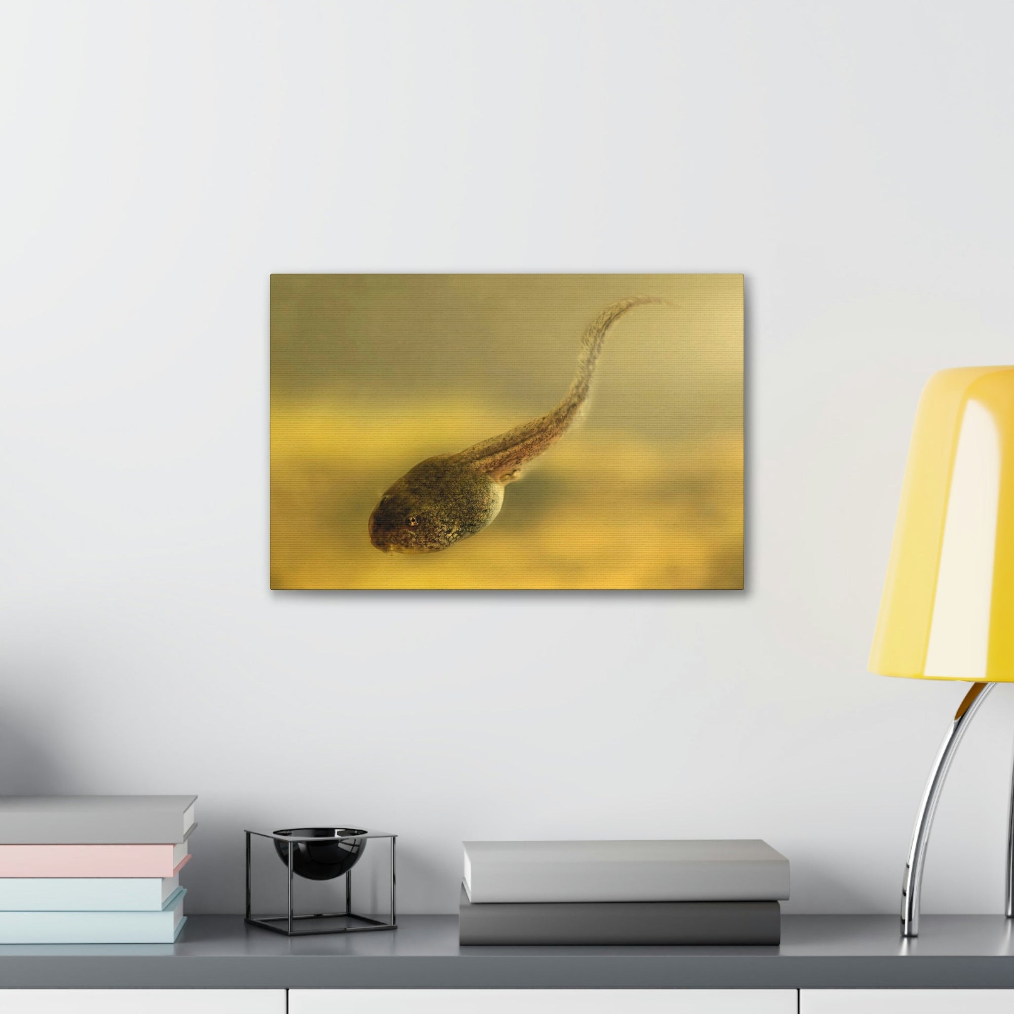 Scripture Walls Majestic Tadpole Art Majestic Tadpole Print Animal Wall Art Wildlife Canvas Prints Wall Art Ready to Hang Unframed-Express Your Love Gifts