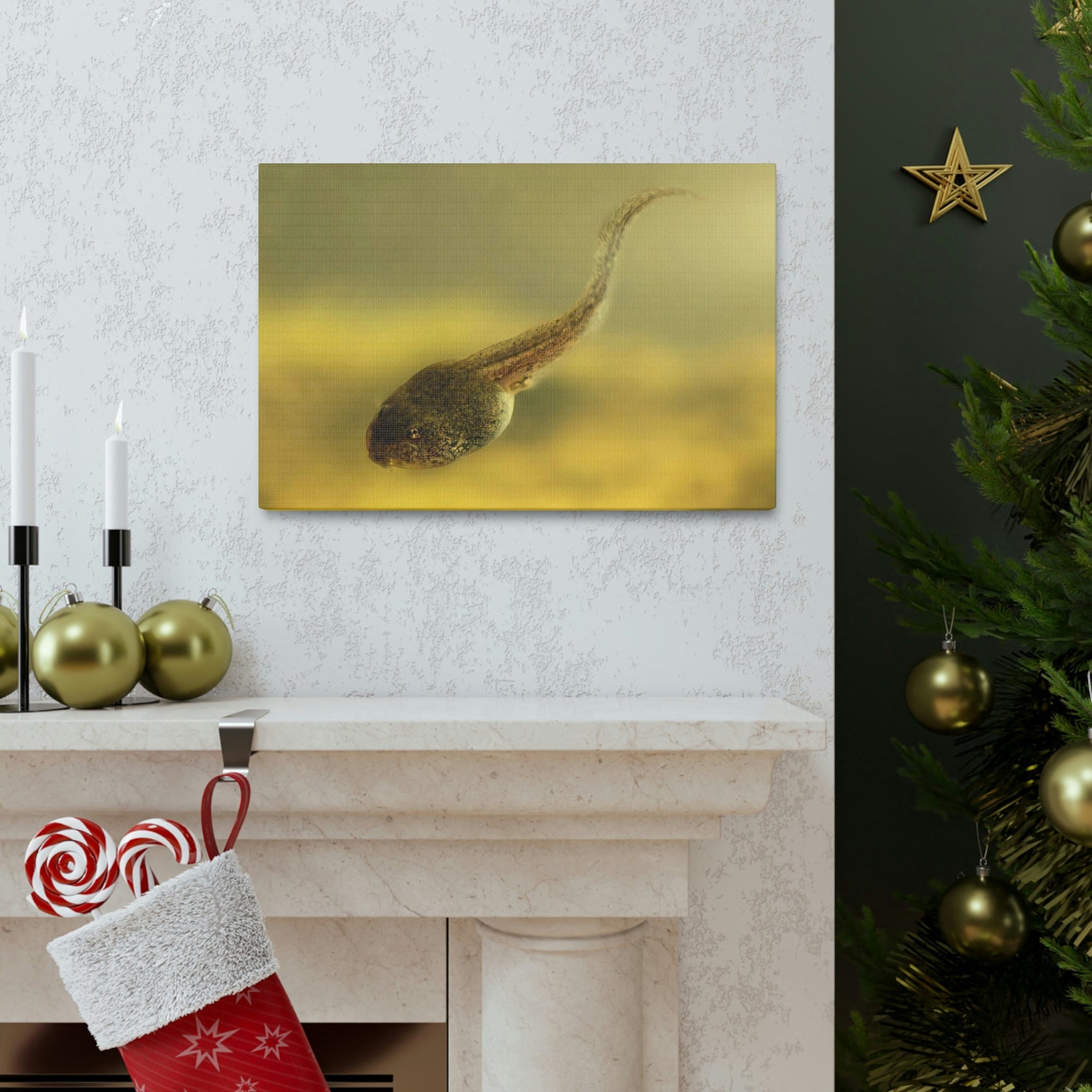 Scripture Walls Majestic Tadpole Art Majestic Tadpole Print Animal Wall Art Wildlife Canvas Prints Wall Art Ready to Hang Unframed-Express Your Love Gifts