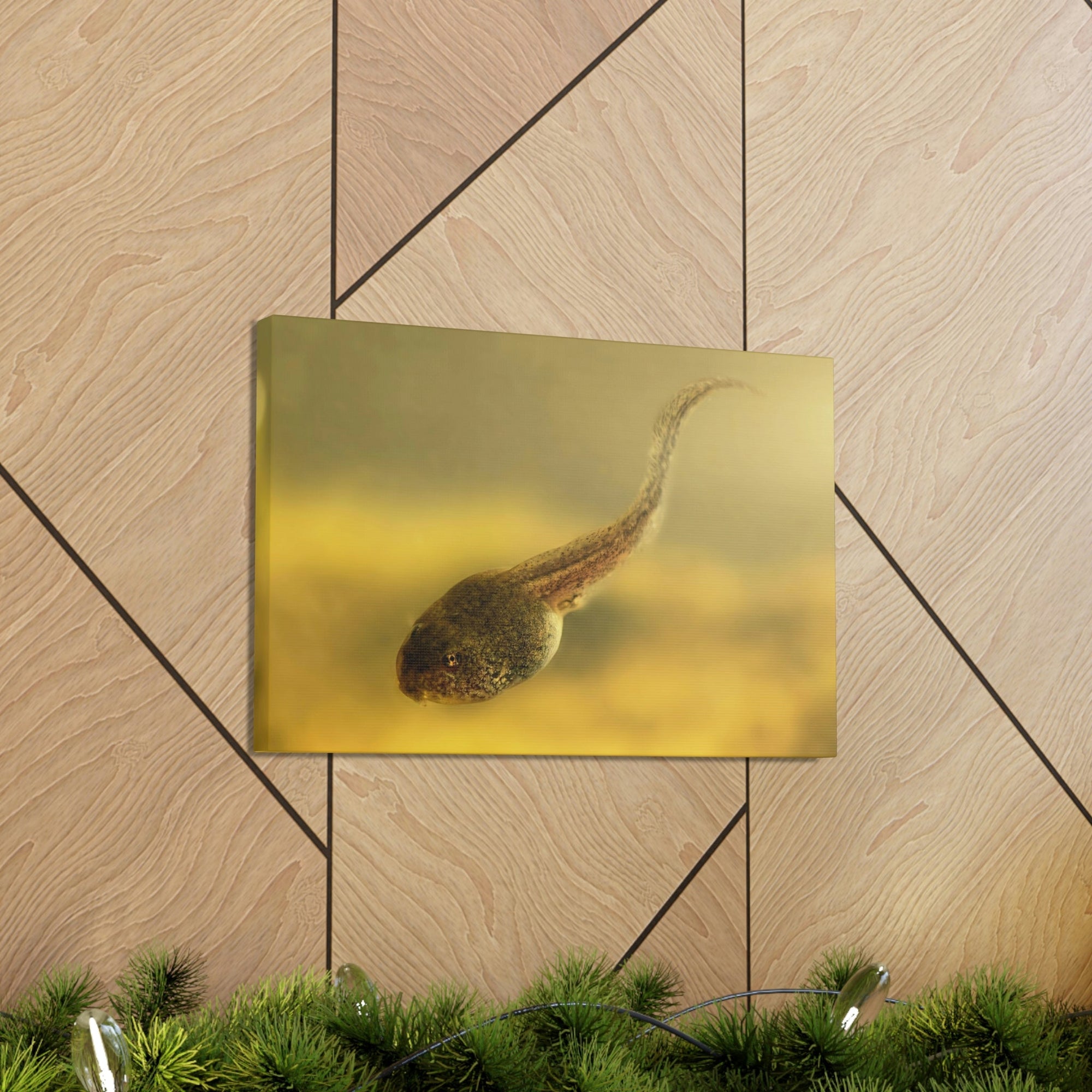 Scripture Walls Majestic Tadpole Art Majestic Tadpole Print Animal Wall Art Wildlife Canvas Prints Wall Art Ready to Hang Unframed-Express Your Love Gifts