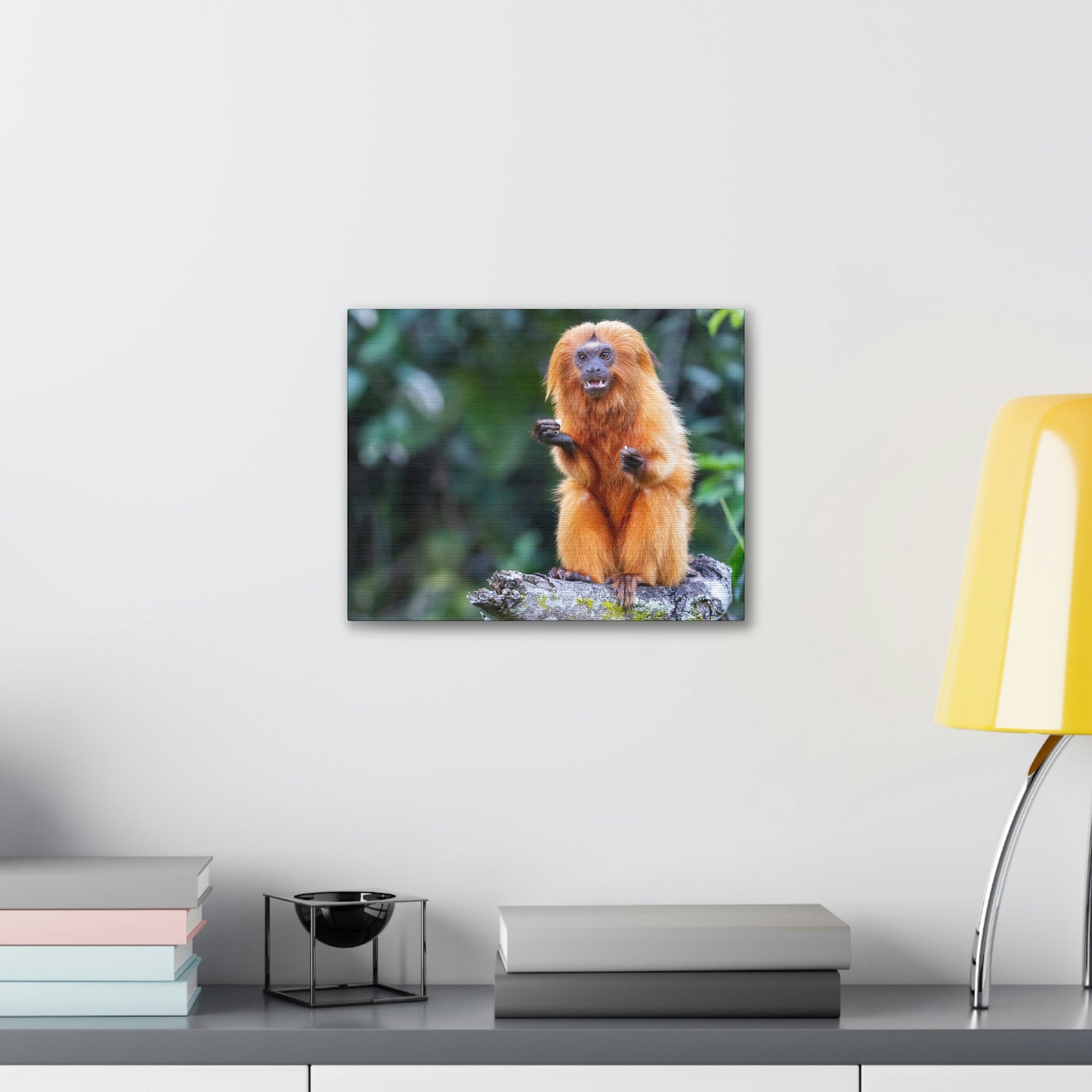 Scripture Walls Majestic Tamarin Art Majestic Tamarin Print Animal Wall Art Wildlife Canvas Prints Wall Art Ready to Hang Unframed-Express Your Love Gifts