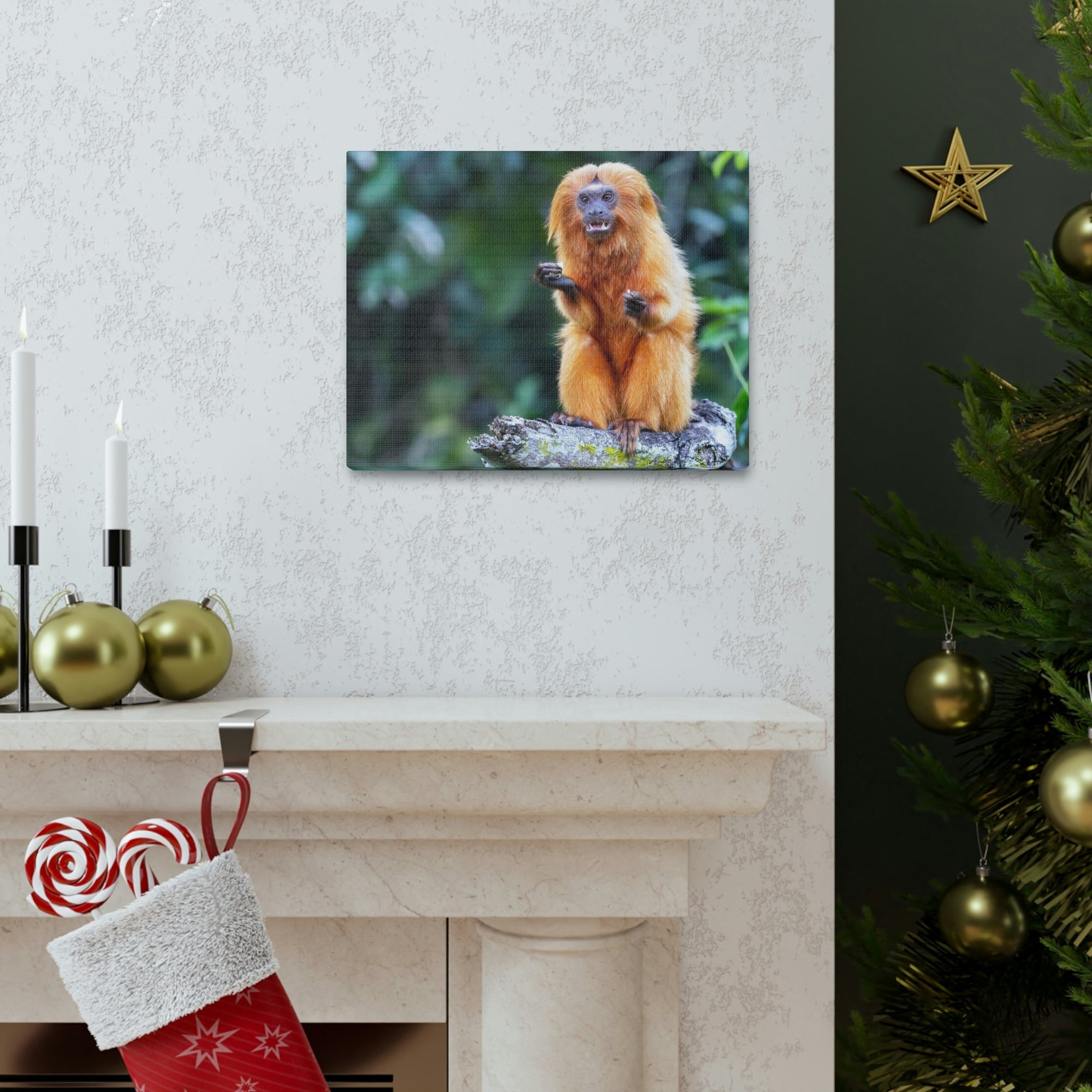 Scripture Walls Majestic Tamarin Art Majestic Tamarin Print Animal Wall Art Wildlife Canvas Prints Wall Art Ready to Hang Unframed-Express Your Love Gifts