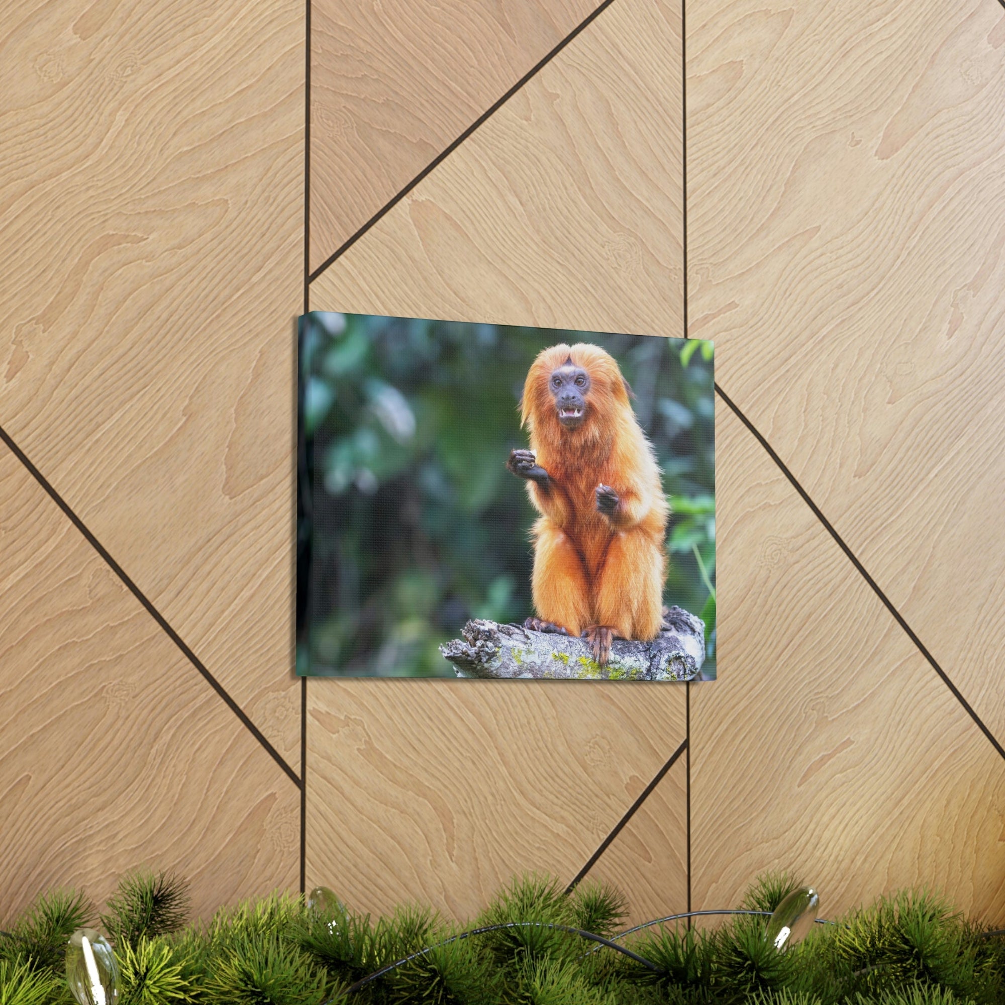 Scripture Walls Majestic Tamarin Art Majestic Tamarin Print Animal Wall Art Wildlife Canvas Prints Wall Art Ready to Hang Unframed-Express Your Love Gifts