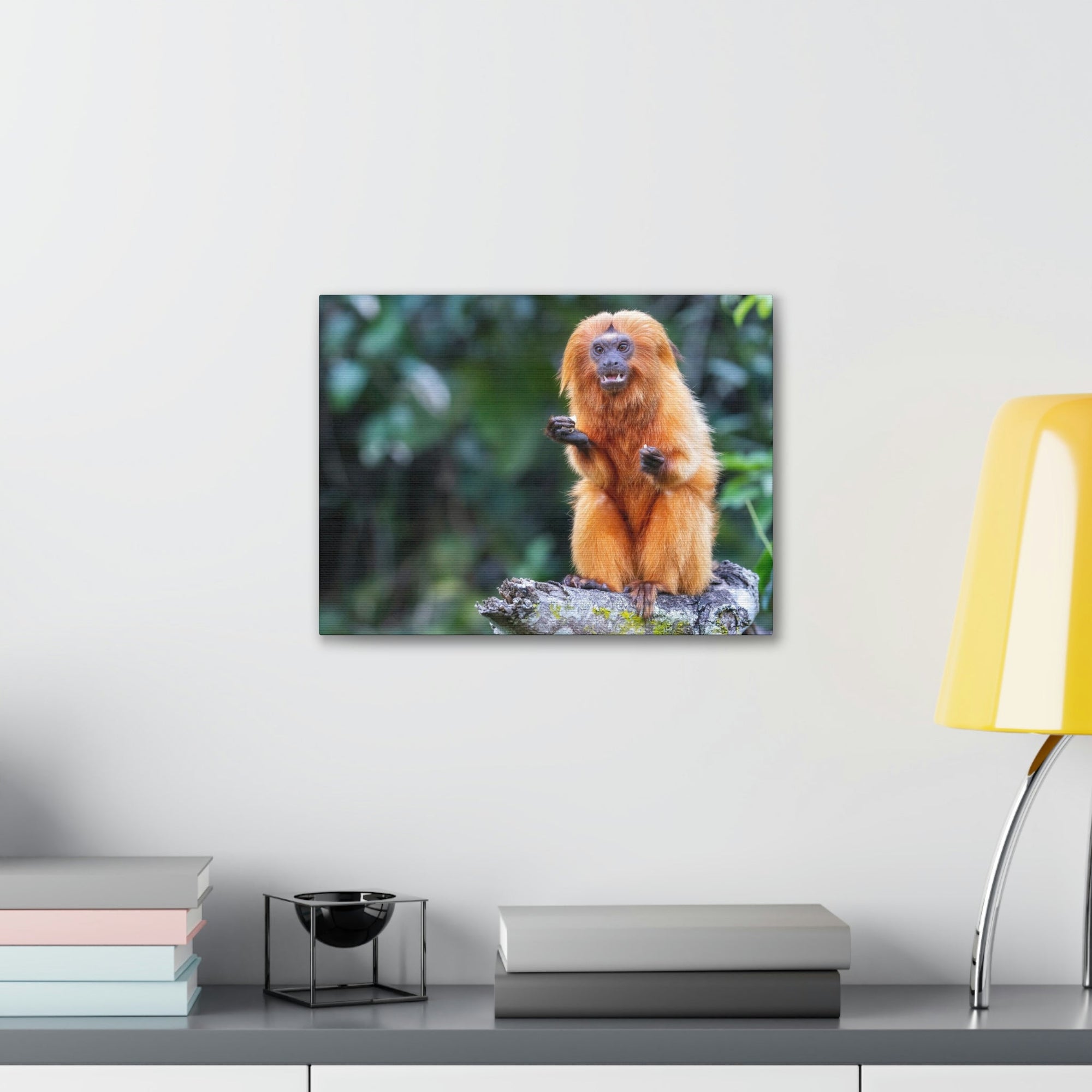 Scripture Walls Majestic Tamarin Art Majestic Tamarin Print Animal Wall Art Wildlife Canvas Prints Wall Art Ready to Hang Unframed-Express Your Love Gifts