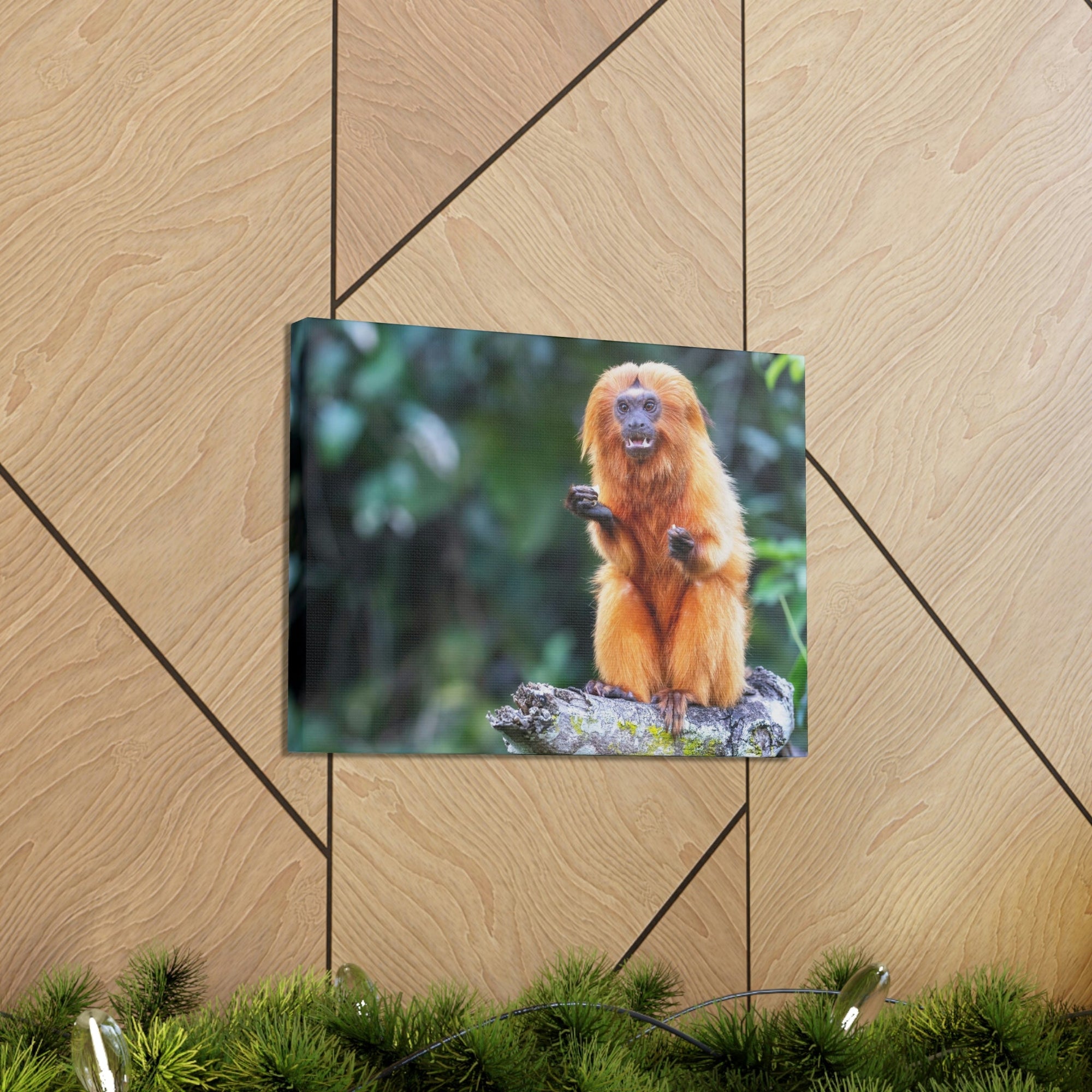 Scripture Walls Majestic Tamarin Art Majestic Tamarin Print Animal Wall Art Wildlife Canvas Prints Wall Art Ready to Hang Unframed-Express Your Love Gifts