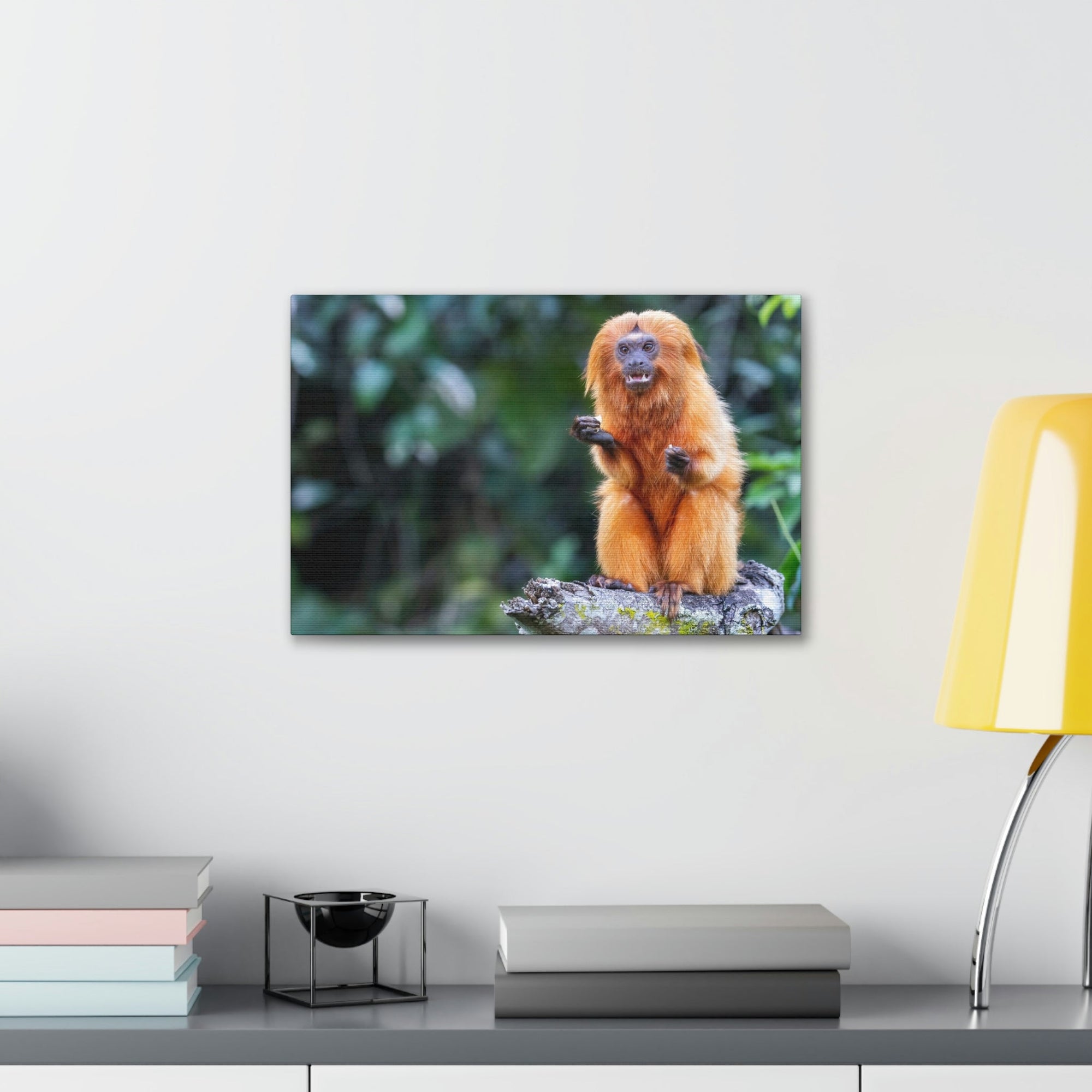 Scripture Walls Majestic Tamarin Art Majestic Tamarin Print Animal Wall Art Wildlife Canvas Prints Wall Art Ready to Hang Unframed-Express Your Love Gifts