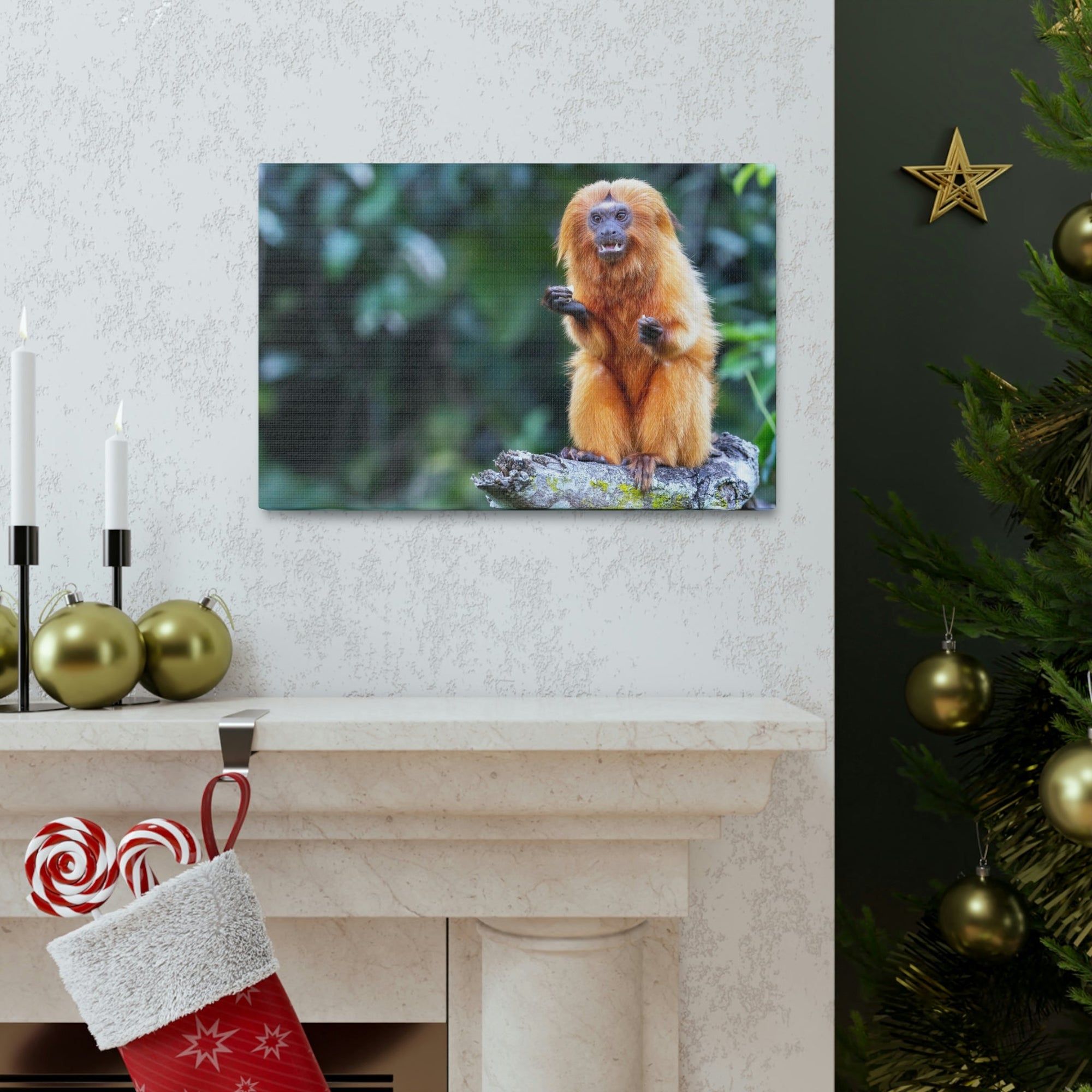 Scripture Walls Majestic Tamarin Art Majestic Tamarin Print Animal Wall Art Wildlife Canvas Prints Wall Art Ready to Hang Unframed-Express Your Love Gifts