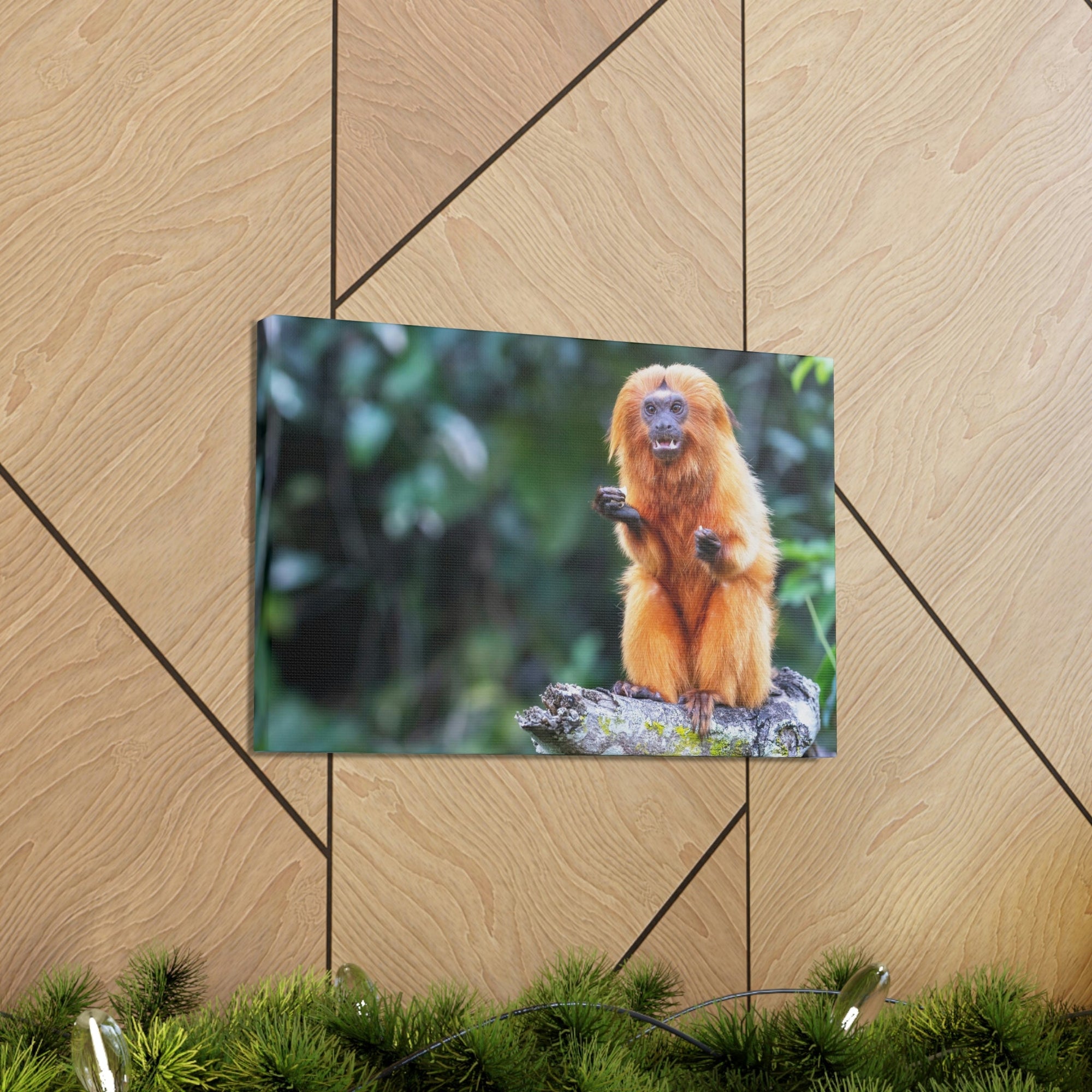 Scripture Walls Majestic Tamarin Art Majestic Tamarin Print Animal Wall Art Wildlife Canvas Prints Wall Art Ready to Hang Unframed-Express Your Love Gifts