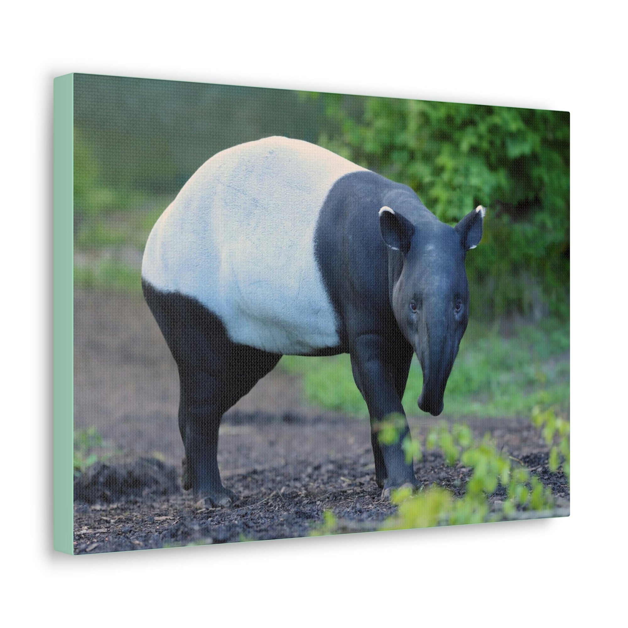 Scripture Walls Majestic Tapir Art Majestic Tapir Print Animal Wall Art Wildlife Canvas Prints Wall Art Ready to Hang Unframed-Express Your Love Gifts