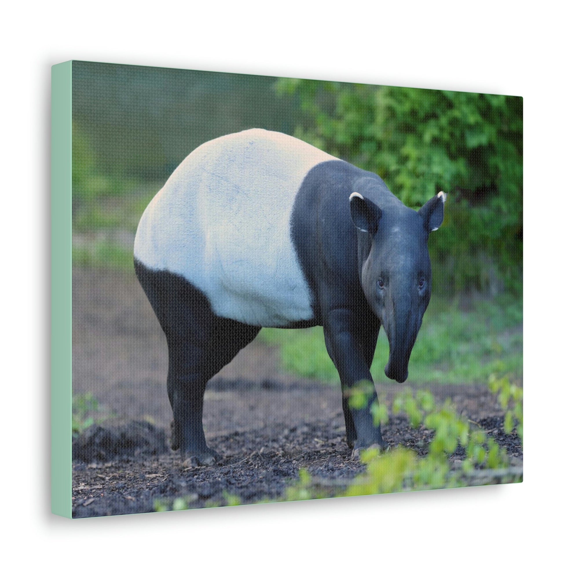 Scripture Walls Majestic Tapir Art Majestic Tapir Print Animal Wall Art Wildlife Canvas Prints Wall Art Ready to Hang Unframed-Express Your Love Gifts