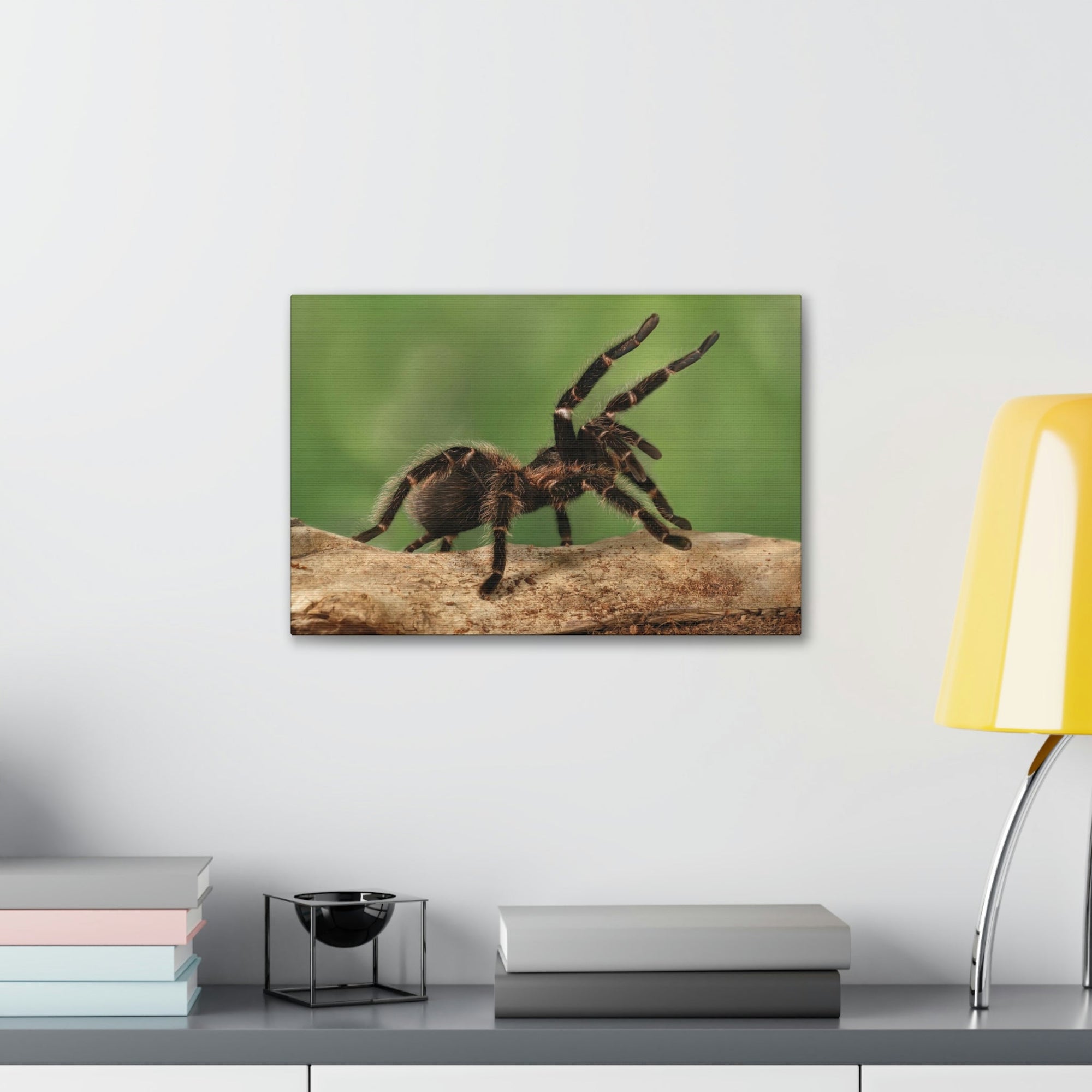 Scripture Walls Majestic Tarantula Art Majestic Tarantula Print Animal Wall Art Wildlife Canvas Prints Wall Art Ready to Hang Unframed-Express Your Love Gifts