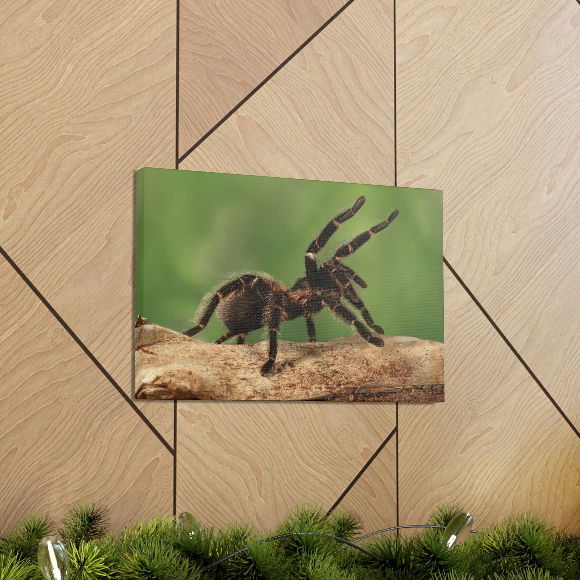 Scripture Walls Majestic Tarantula Art Majestic Tarantula Print Animal Wall Art Wildlife Canvas Prints Wall Art Ready to Hang Unframed-Express Your Love Gifts