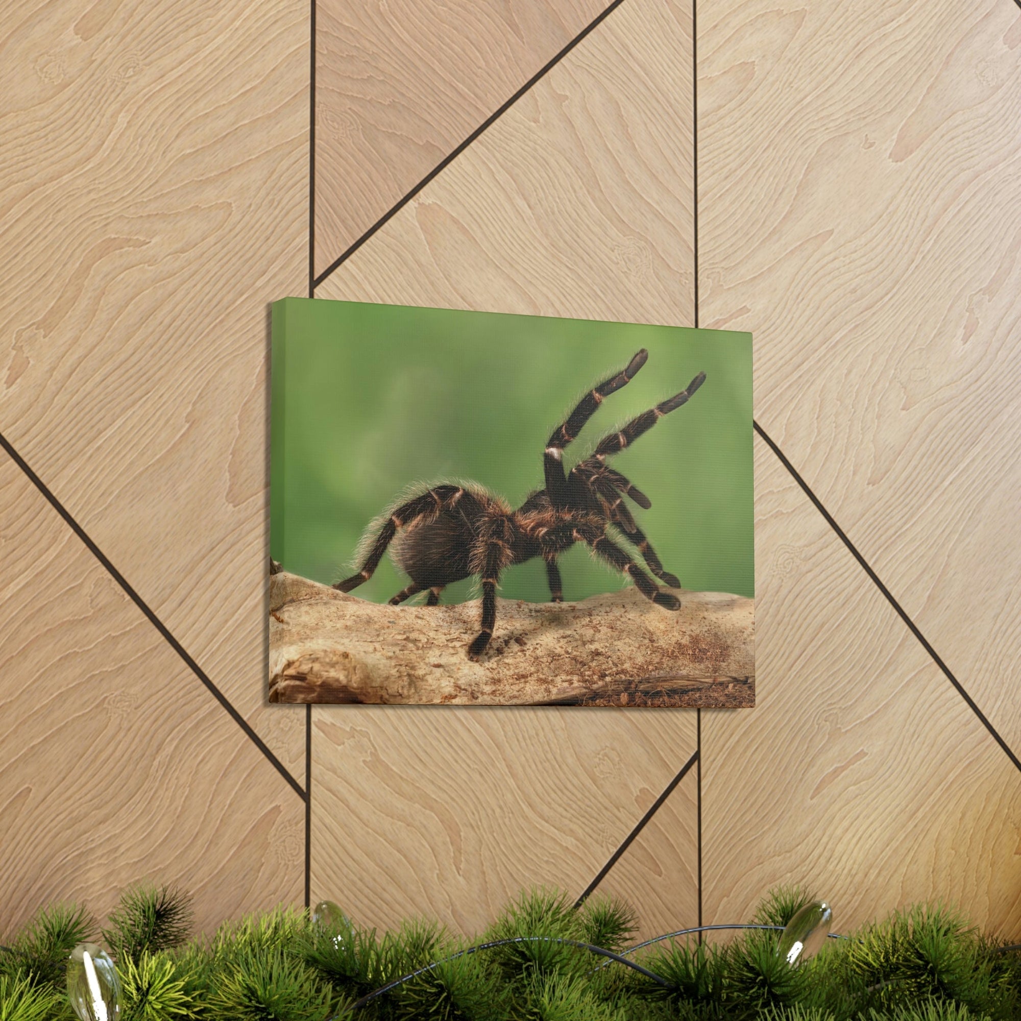 Scripture Walls Majestic Tarantula Art Majestic Tarantula Print Animal Wall Art Wildlife Canvas Prints Wall Art Ready to Hang Unframed-Express Your Love Gifts