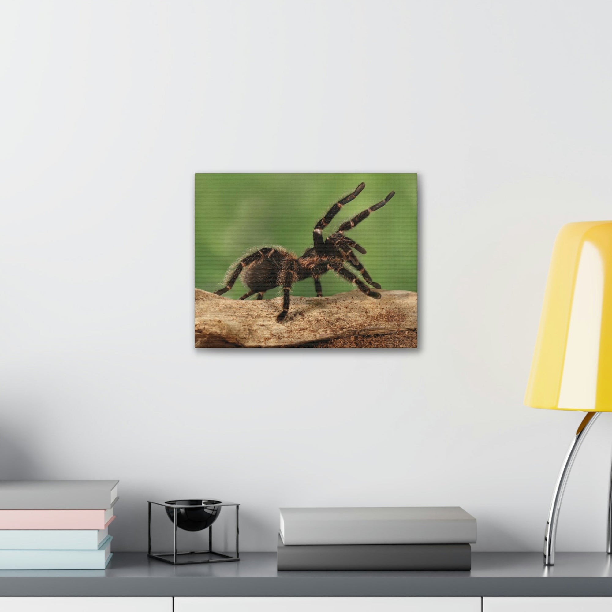 Scripture Walls Majestic Tarantula Art Majestic Tarantula Print Animal Wall Art Wildlife Canvas Prints Wall Art Ready to Hang Unframed-Express Your Love Gifts