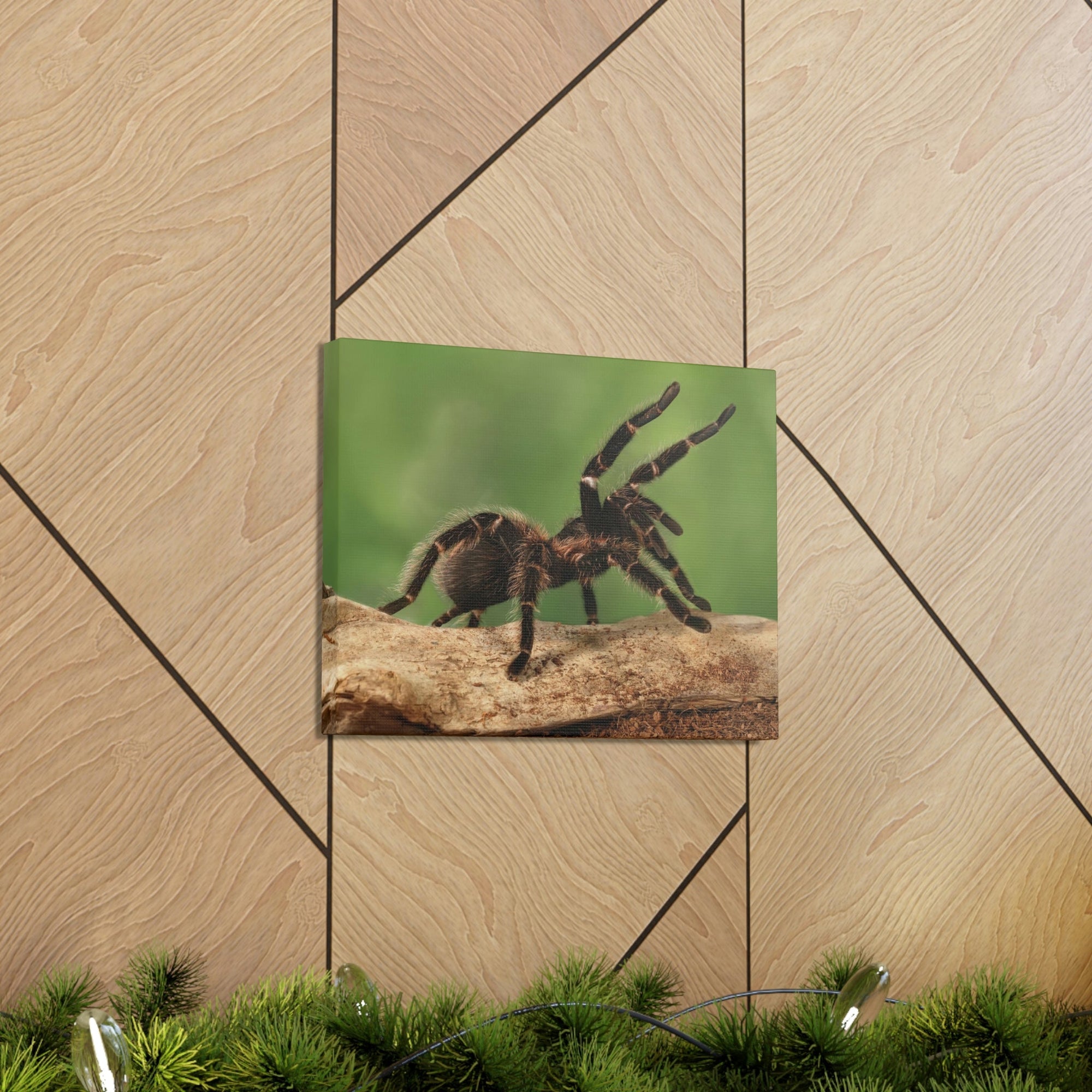 Scripture Walls Majestic Tarantula Art Majestic Tarantula Print Animal Wall Art Wildlife Canvas Prints Wall Art Ready to Hang Unframed-Express Your Love Gifts