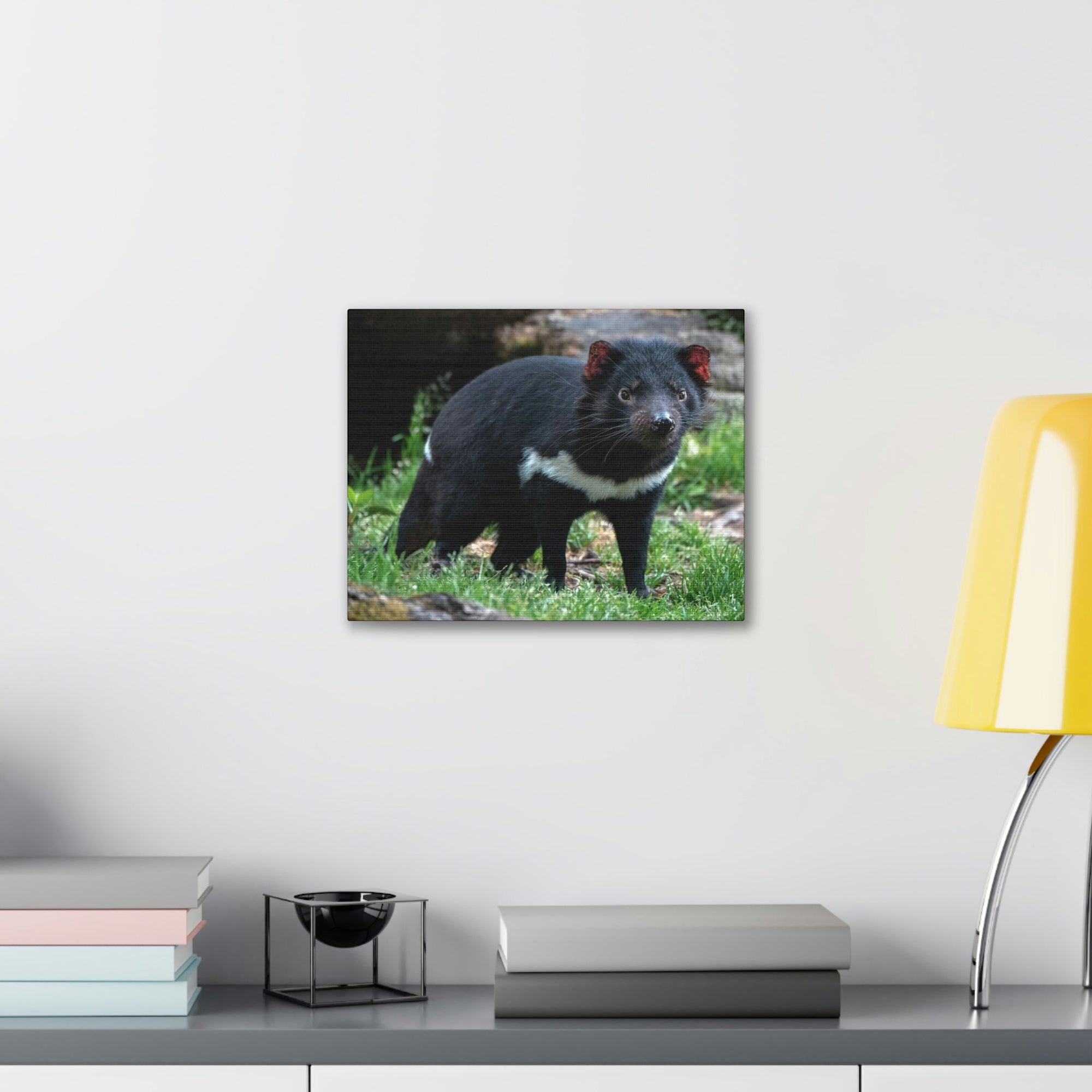 Scripture Walls Majestic Tasmanian Devil Art Majestic Tasmanian Devil Print Animal Wall Art Wildlife Canvas Prints Wall Art Ready to Hang Unframed-Express Your Love Gifts