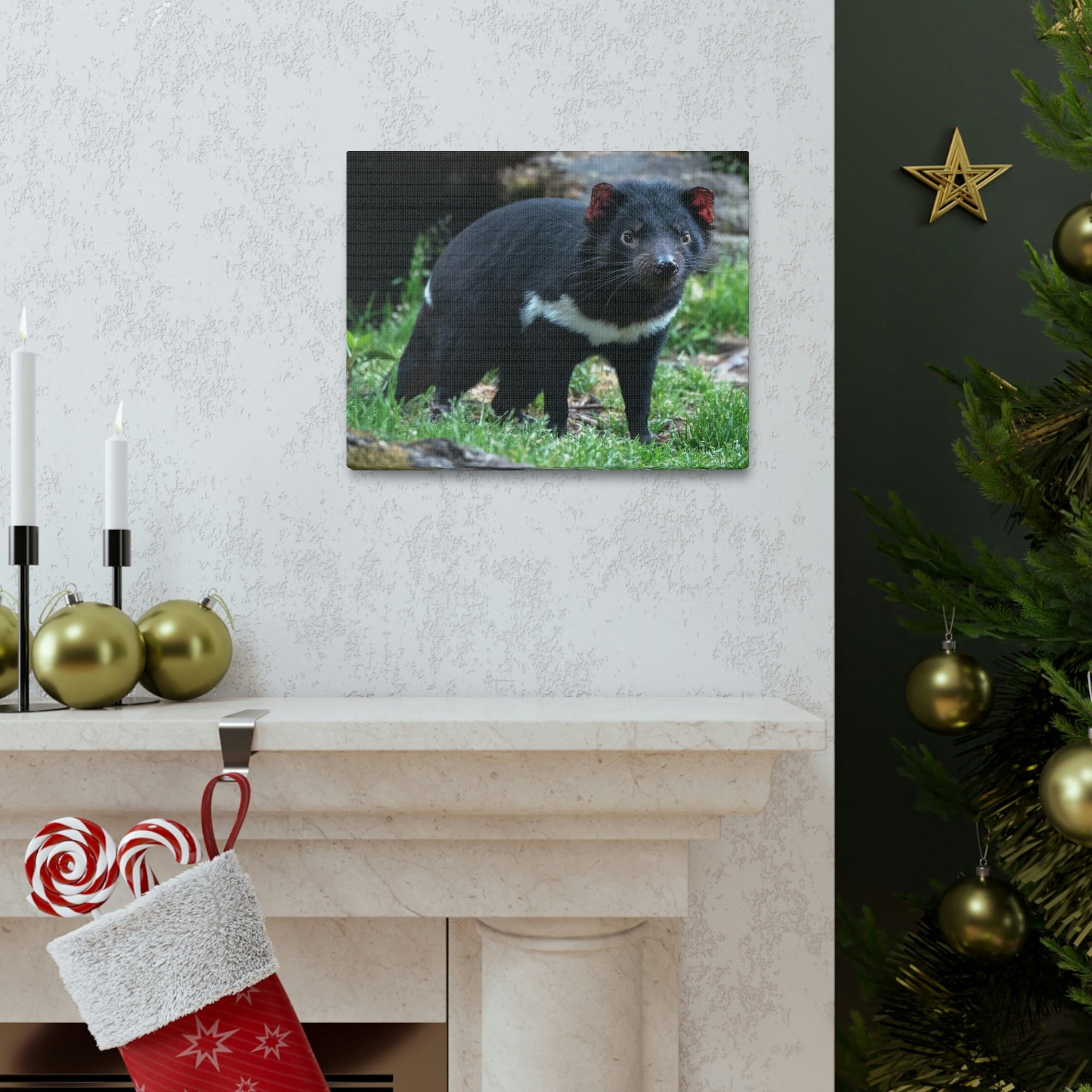 Scripture Walls Majestic Tasmanian Devil Art Majestic Tasmanian Devil Print Animal Wall Art Wildlife Canvas Prints Wall Art Ready to Hang Unframed-Express Your Love Gifts