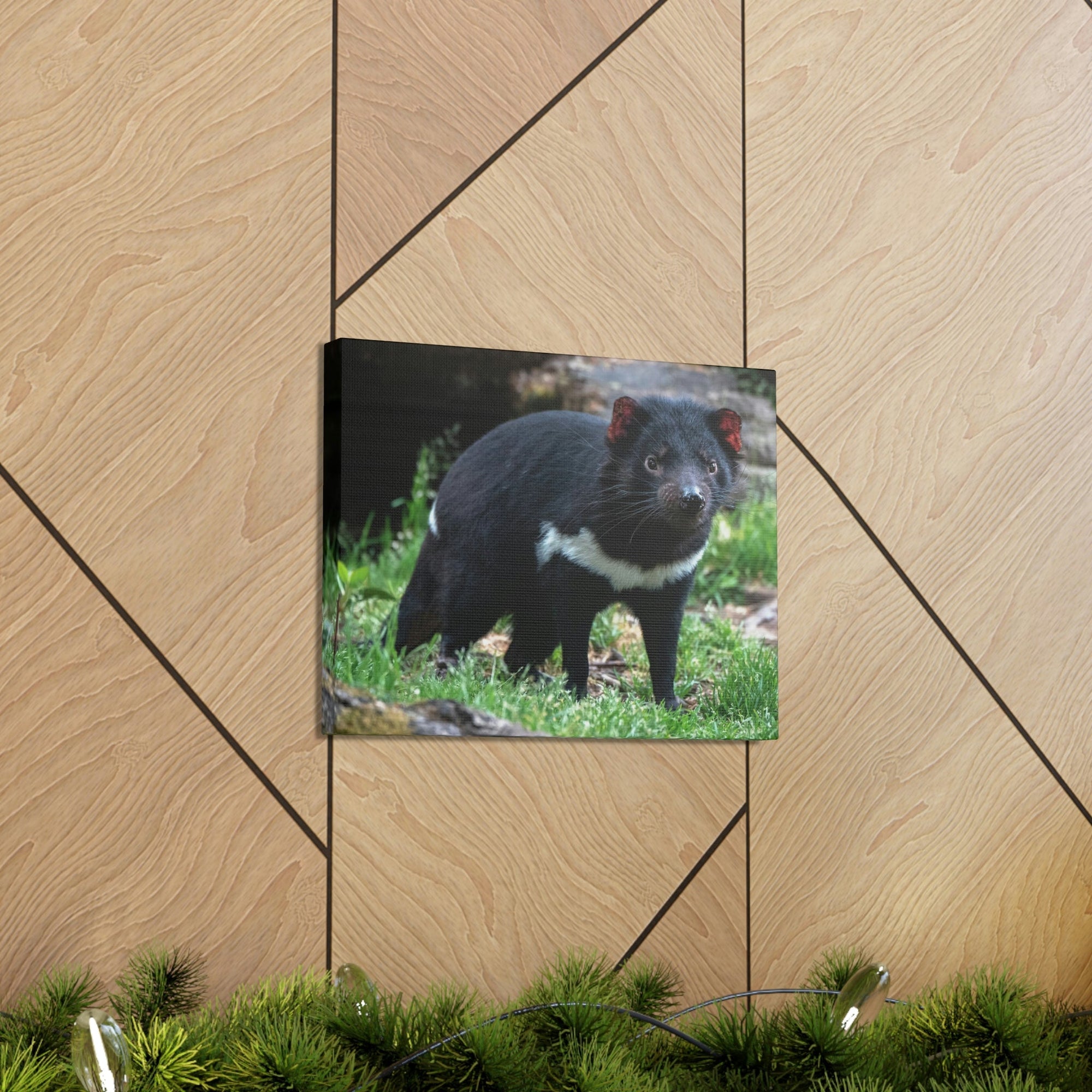 Scripture Walls Majestic Tasmanian Devil Art Majestic Tasmanian Devil Print Animal Wall Art Wildlife Canvas Prints Wall Art Ready to Hang Unframed-Express Your Love Gifts