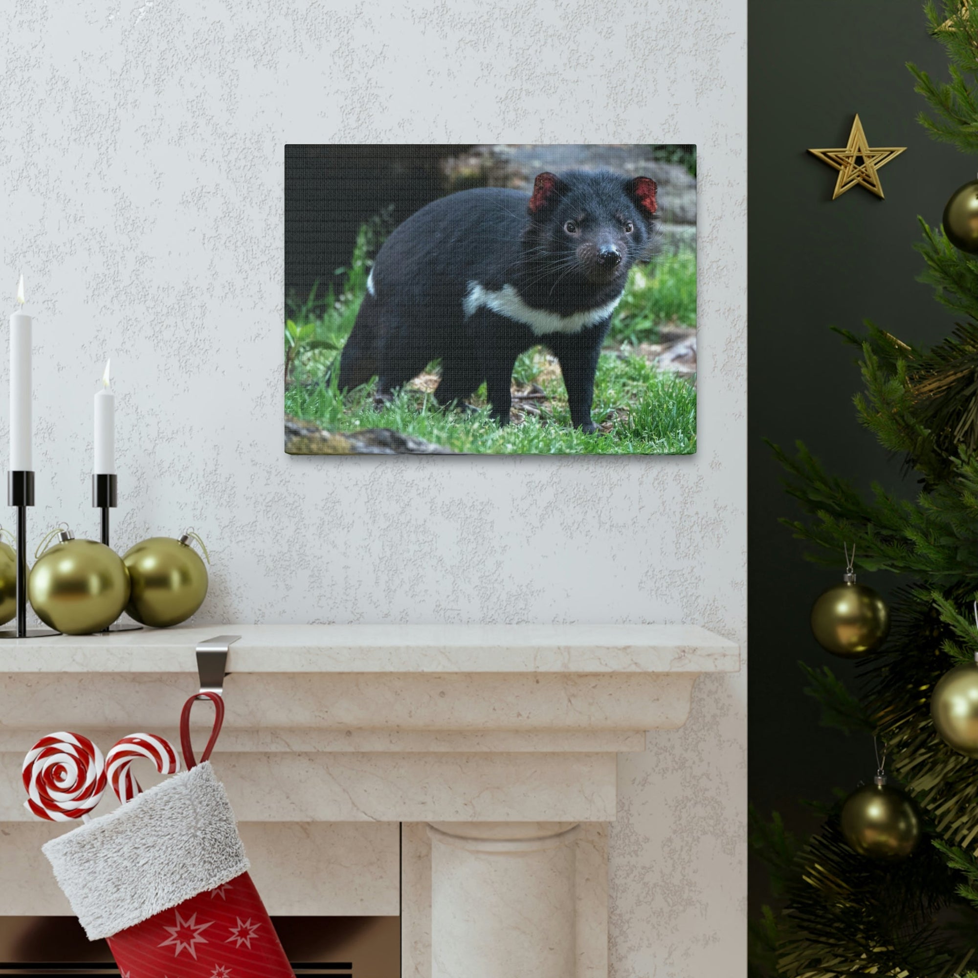 Scripture Walls Majestic Tasmanian Devil Art Majestic Tasmanian Devil Print Animal Wall Art Wildlife Canvas Prints Wall Art Ready to Hang Unframed-Express Your Love Gifts