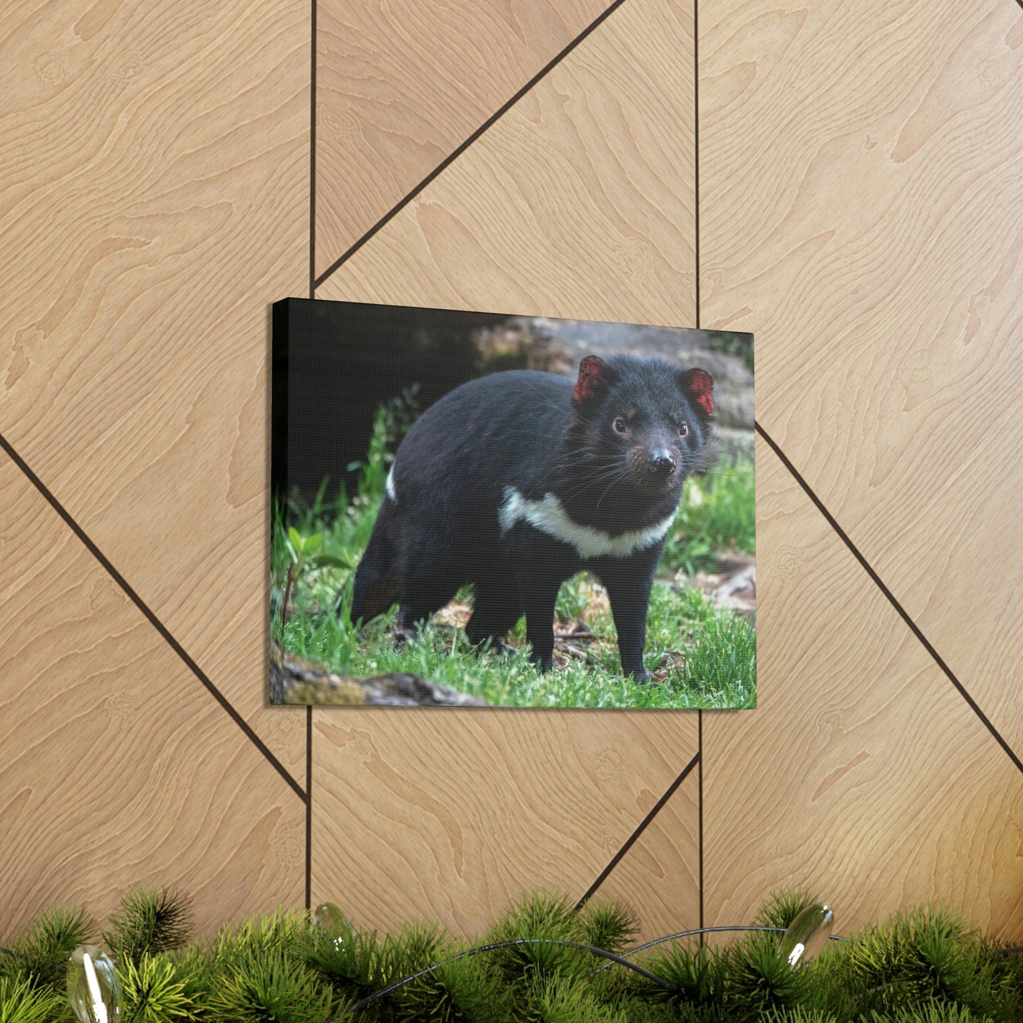 Scripture Walls Majestic Tasmanian Devil Art Majestic Tasmanian Devil Print Animal Wall Art Wildlife Canvas Prints Wall Art Ready to Hang Unframed-Express Your Love Gifts