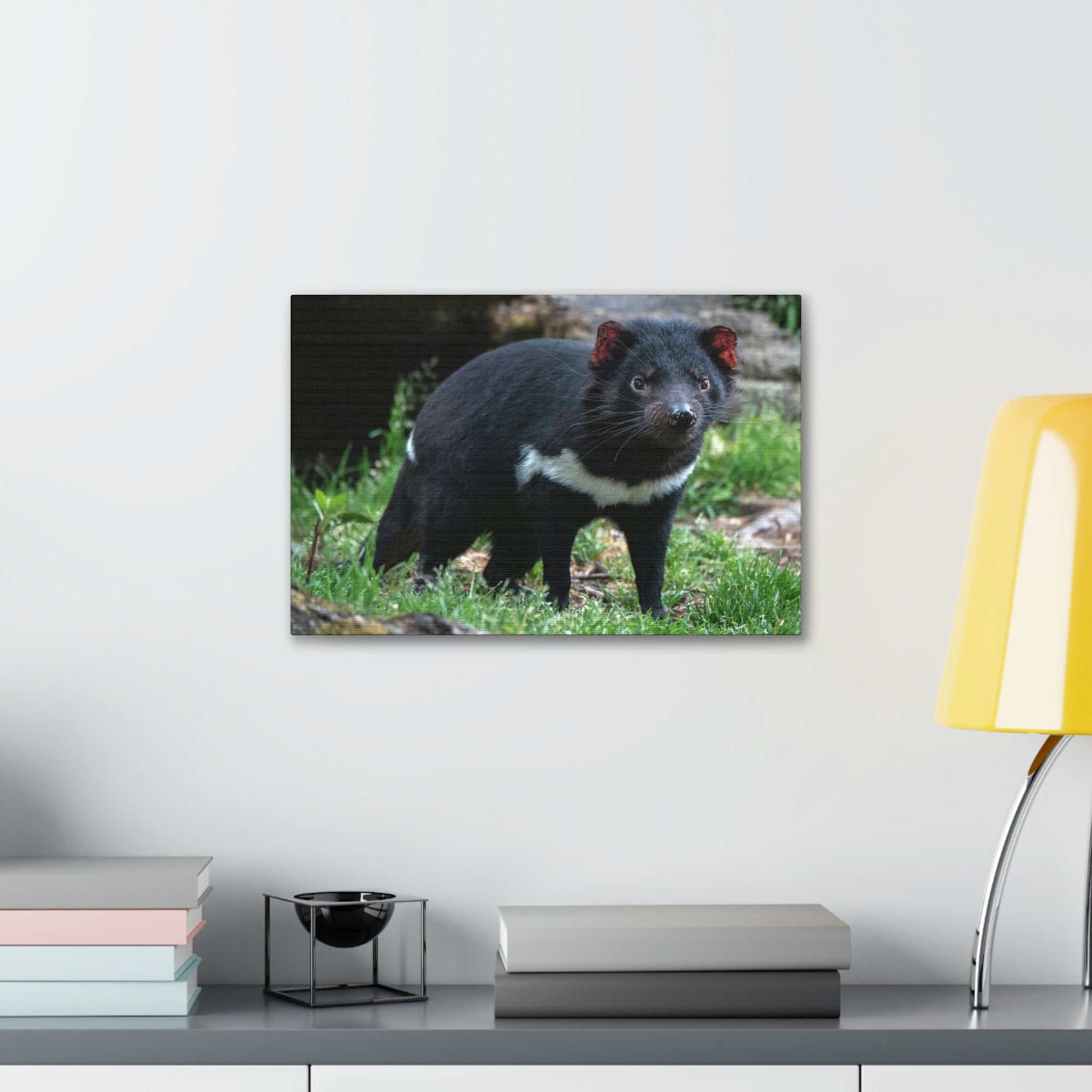 Scripture Walls Majestic Tasmanian Devil Art Majestic Tasmanian Devil Print Animal Wall Art Wildlife Canvas Prints Wall Art Ready to Hang Unframed-Express Your Love Gifts