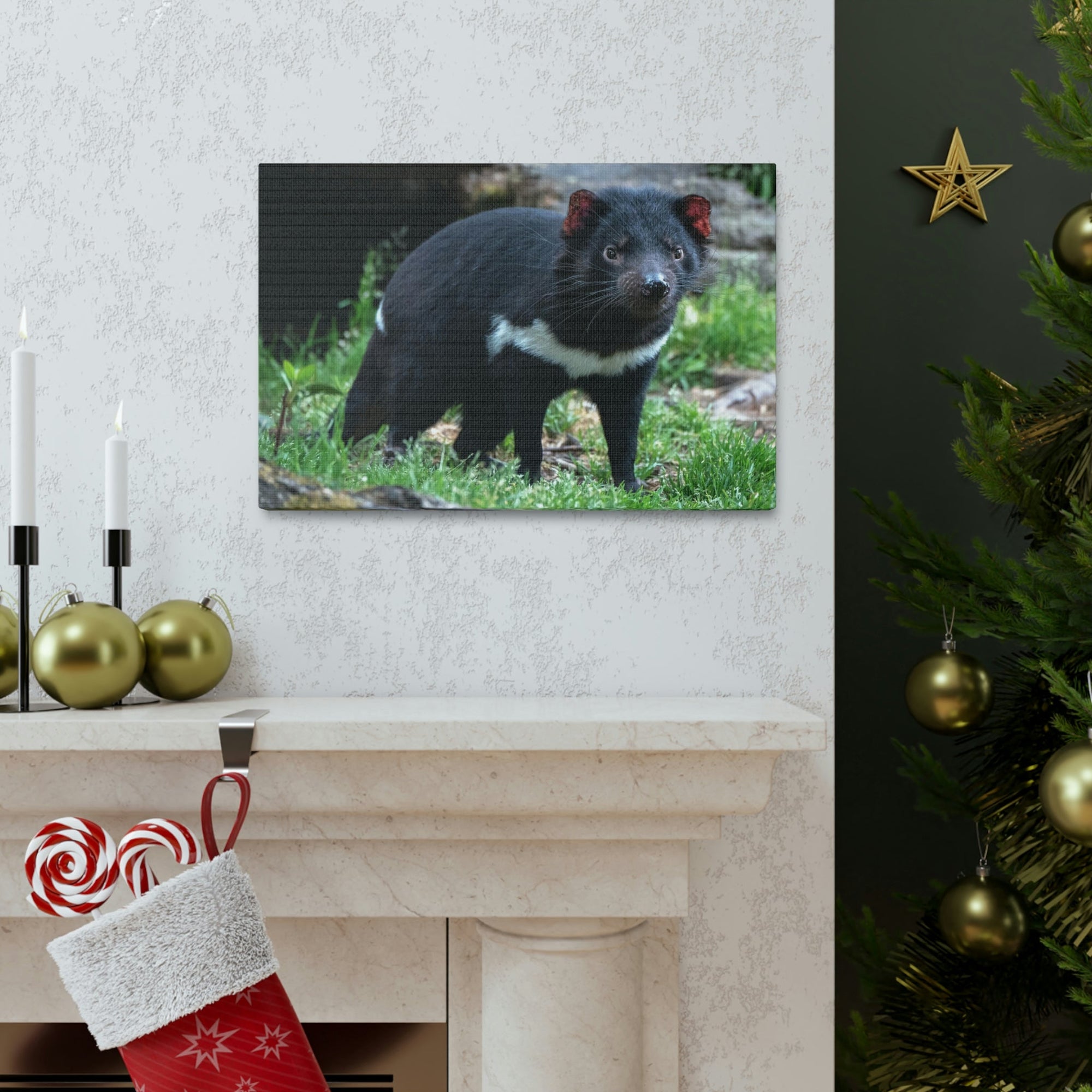 Scripture Walls Majestic Tasmanian Devil Art Majestic Tasmanian Devil Print Animal Wall Art Wildlife Canvas Prints Wall Art Ready to Hang Unframed-Express Your Love Gifts