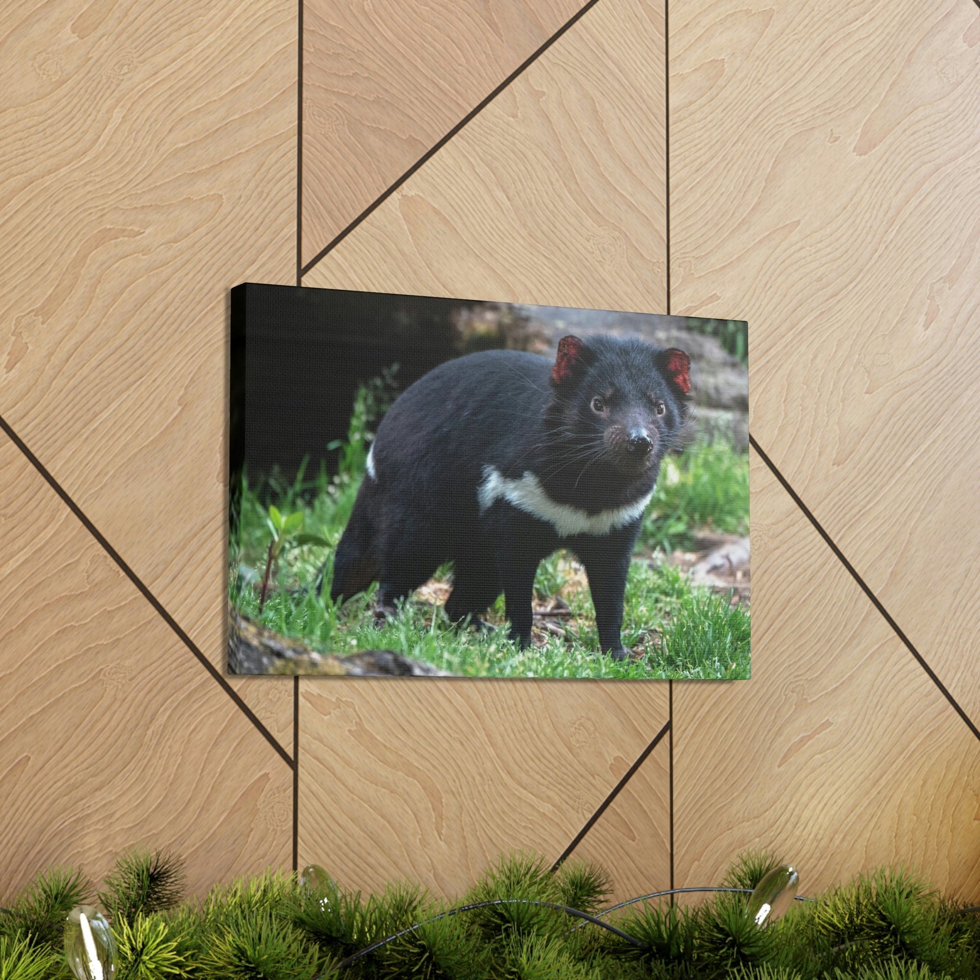 Scripture Walls Majestic Tasmanian Devil Art Majestic Tasmanian Devil Print Animal Wall Art Wildlife Canvas Prints Wall Art Ready to Hang Unframed-Express Your Love Gifts