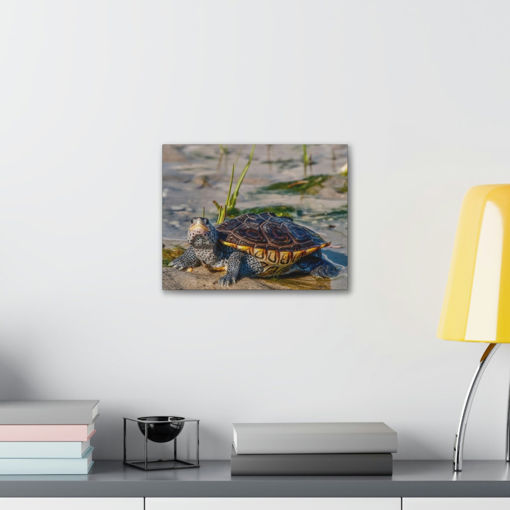 Scripture Walls Majestic Terrapin Art Majestic Terrapin Print Animal Wall Art Wildlife Canvas Prints Wall Art Ready to Hang Unframed-Express Your Love Gifts