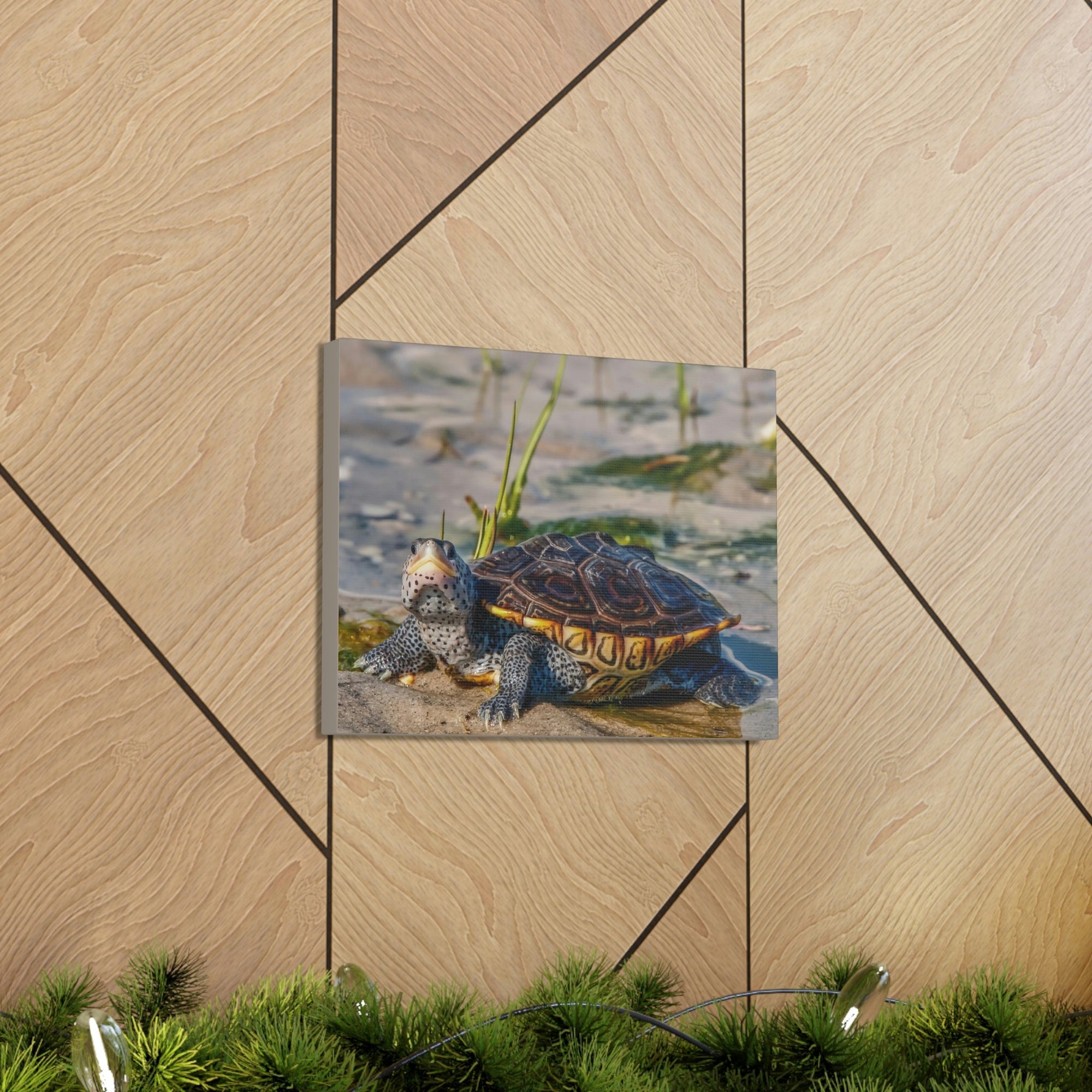 Scripture Walls Majestic Terrapin Art Majestic Terrapin Print Animal Wall Art Wildlife Canvas Prints Wall Art Ready to Hang Unframed-Express Your Love Gifts