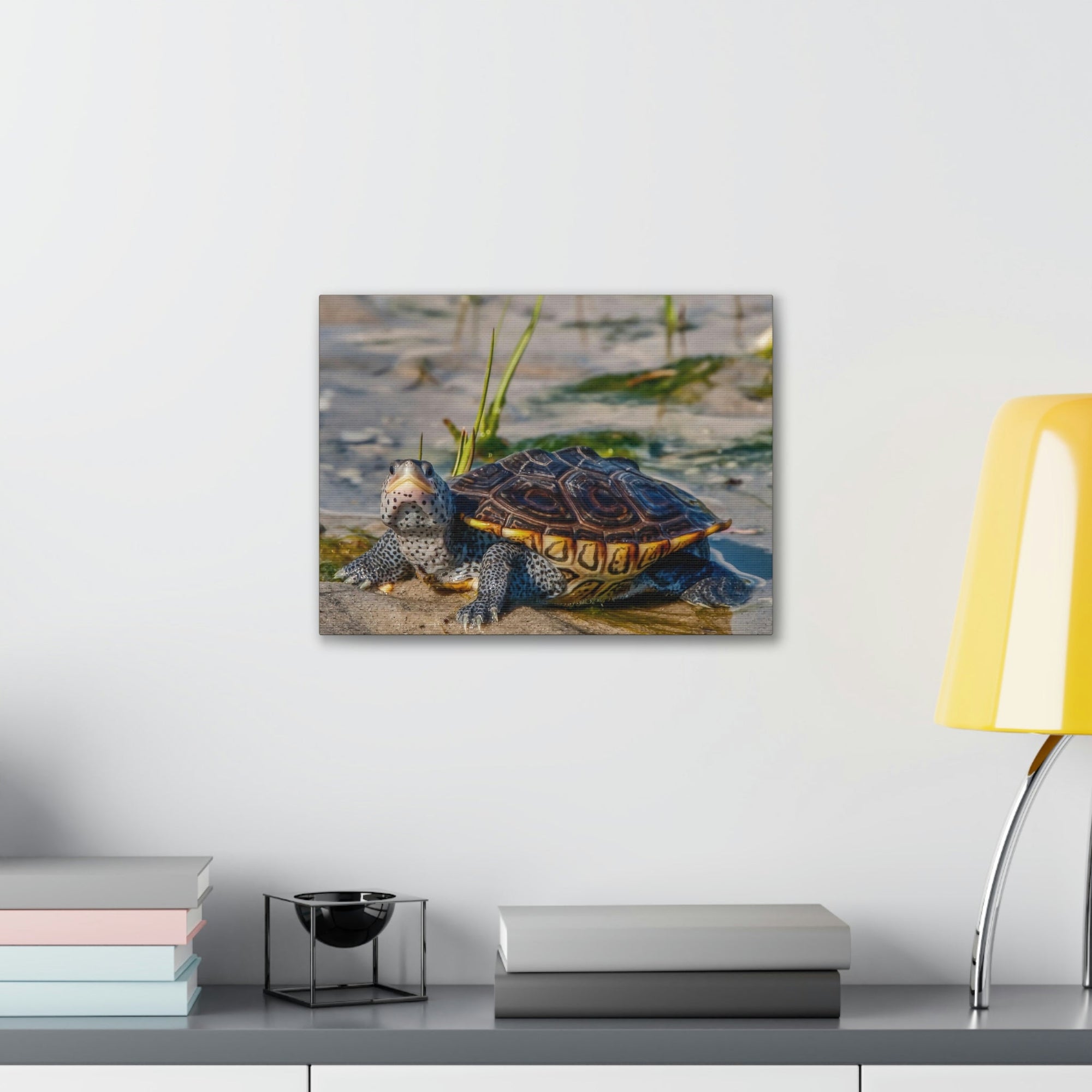 Scripture Walls Majestic Terrapin Art Majestic Terrapin Print Animal Wall Art Wildlife Canvas Prints Wall Art Ready to Hang Unframed-Express Your Love Gifts