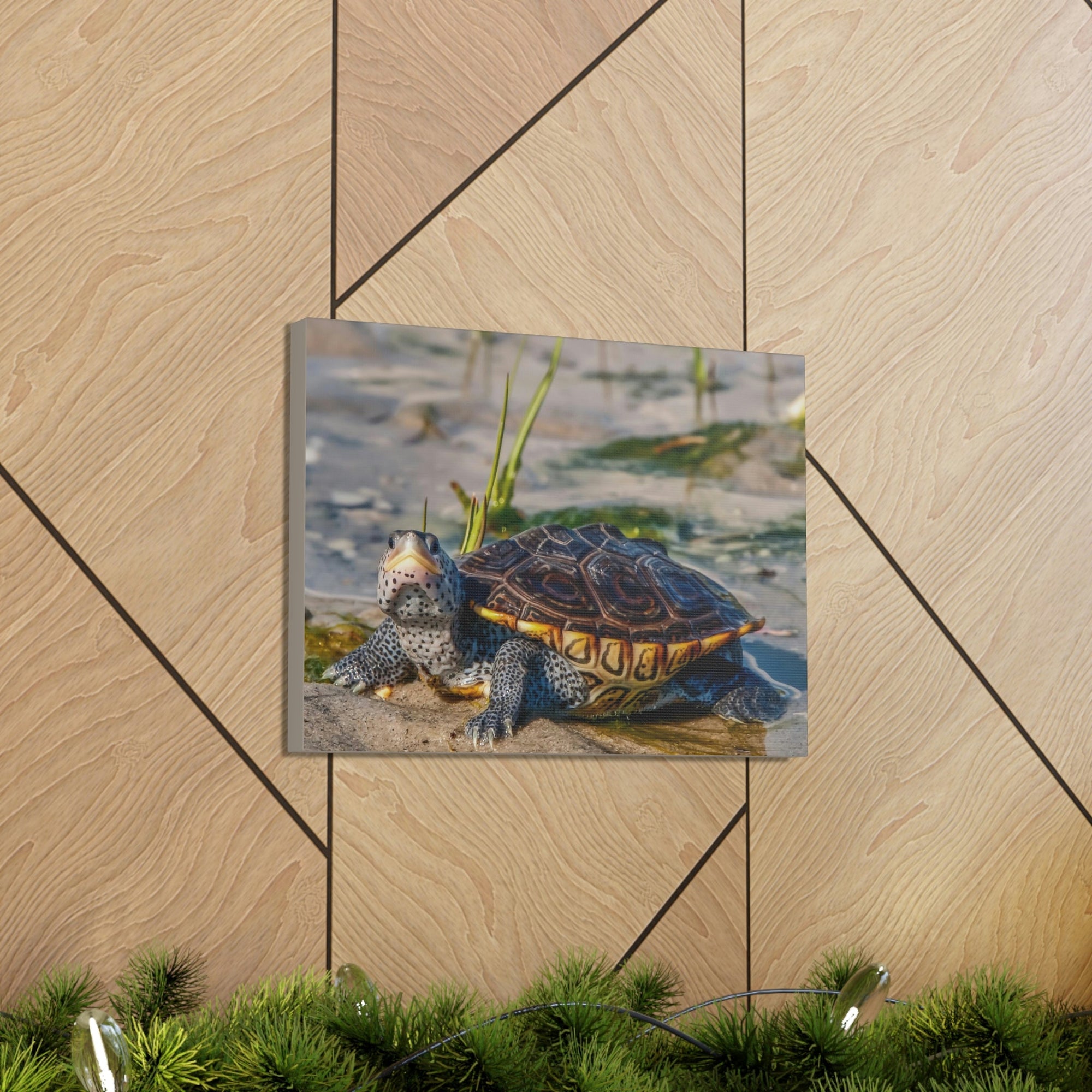 Scripture Walls Majestic Terrapin Art Majestic Terrapin Print Animal Wall Art Wildlife Canvas Prints Wall Art Ready to Hang Unframed-Express Your Love Gifts