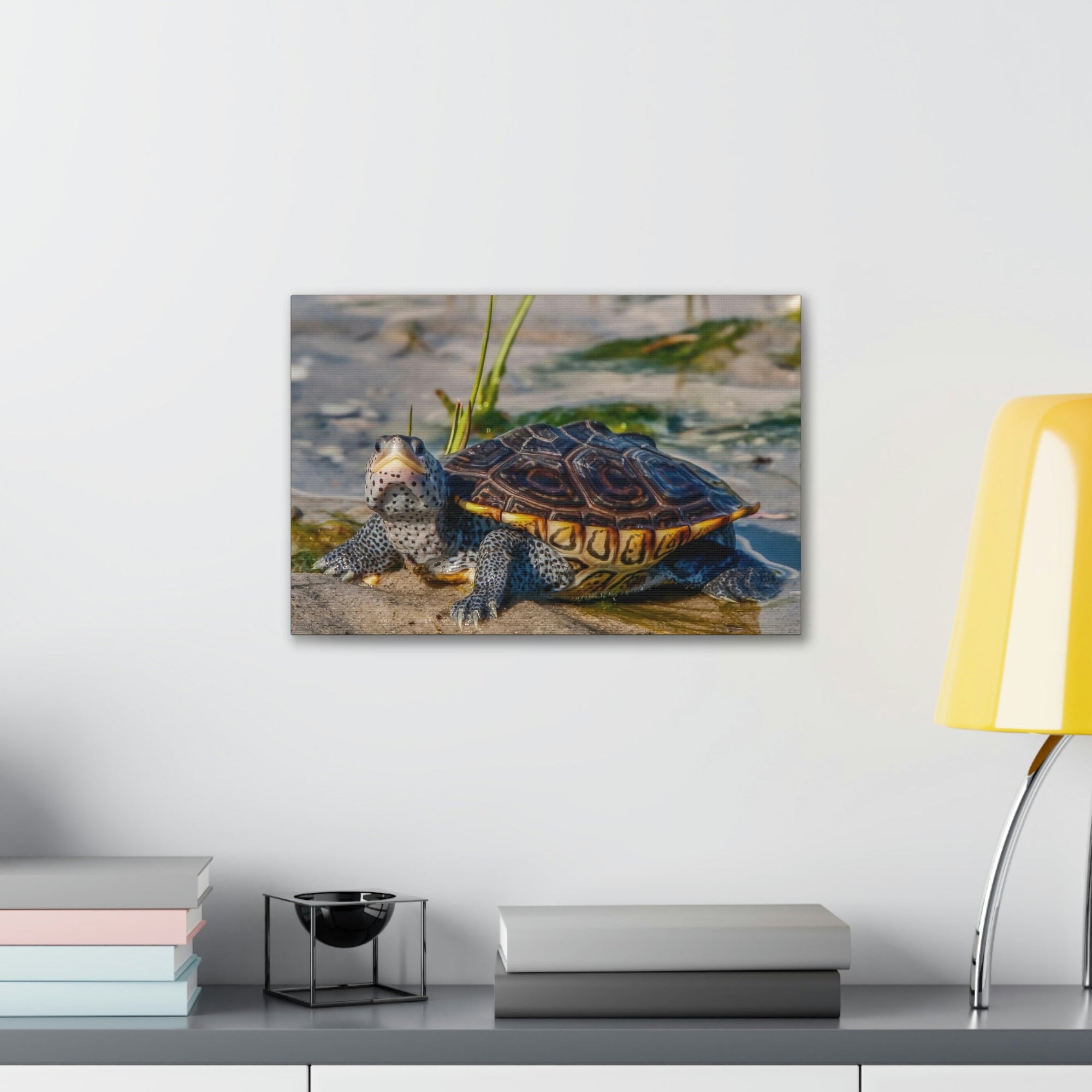 Scripture Walls Majestic Terrapin Art Majestic Terrapin Print Animal Wall Art Wildlife Canvas Prints Wall Art Ready to Hang Unframed-Express Your Love Gifts