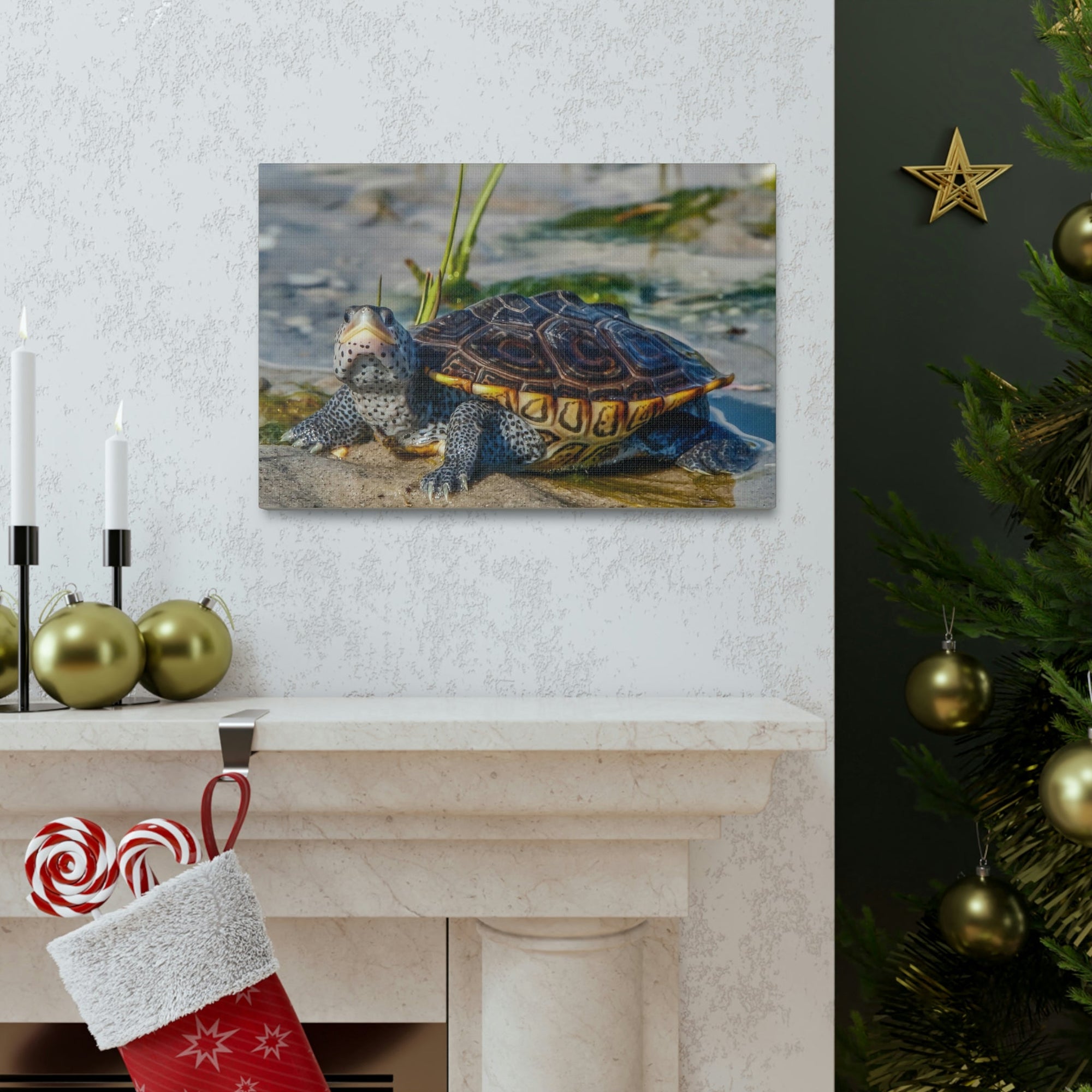 Scripture Walls Majestic Terrapin Art Majestic Terrapin Print Animal Wall Art Wildlife Canvas Prints Wall Art Ready to Hang Unframed-Express Your Love Gifts