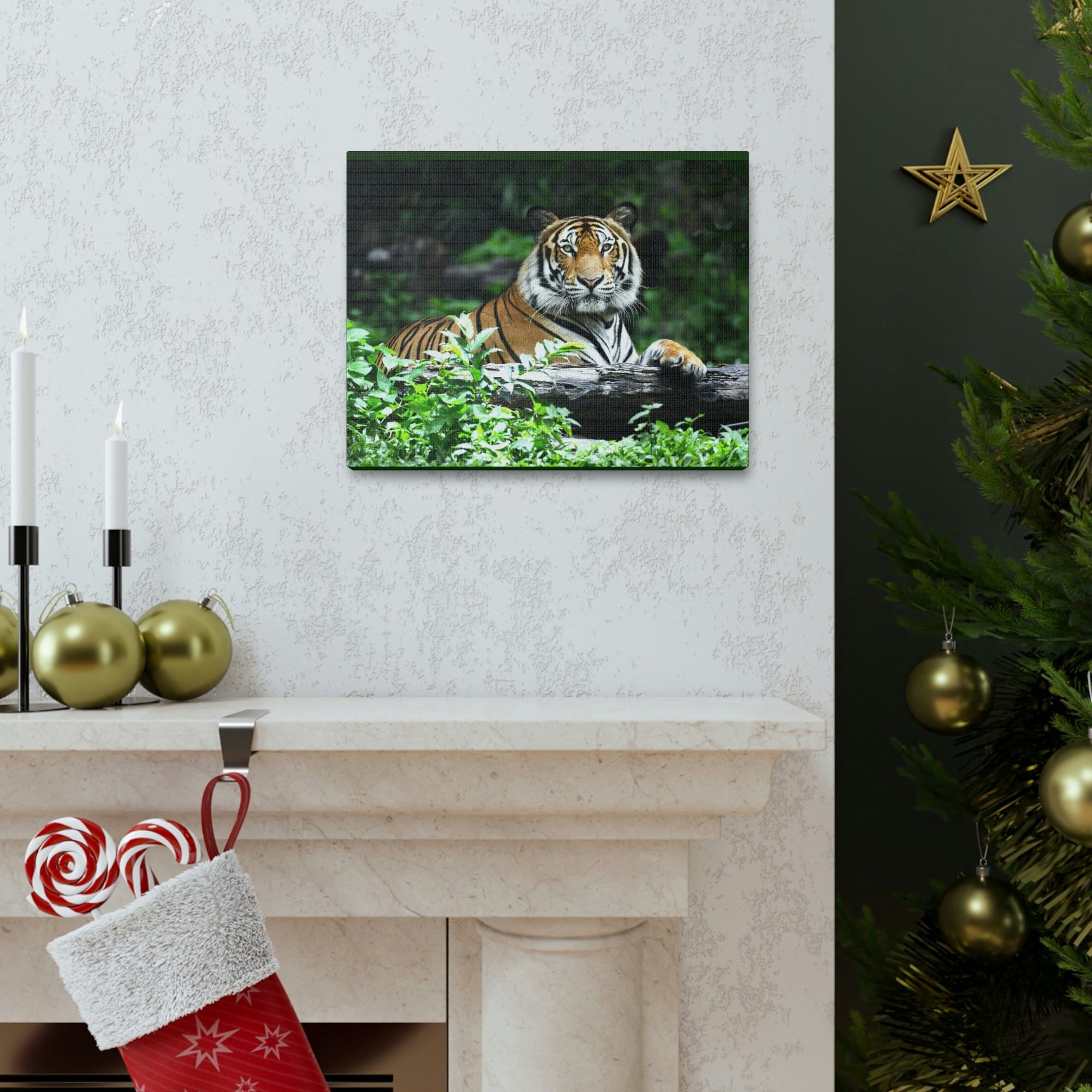 Scripture Walls Majestic Tiger Art Majestic Tiger Print Animal Wall Art Wildlife Canvas Prints Wall Art Ready to Hang Unframed-Express Your Love Gifts