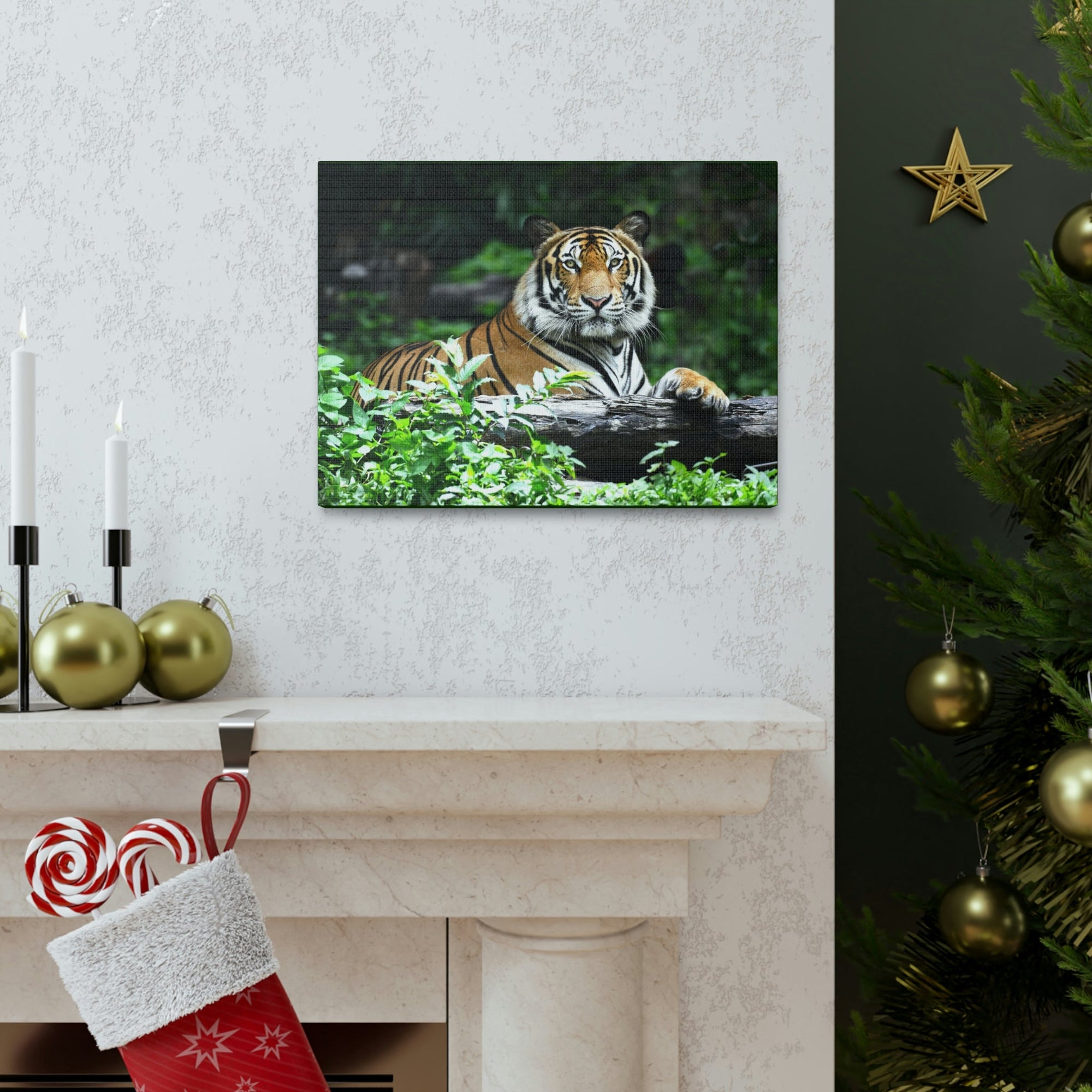 Scripture Walls Majestic Tiger Art Majestic Tiger Print Animal Wall Art Wildlife Canvas Prints Wall Art Ready to Hang Unframed-Express Your Love Gifts