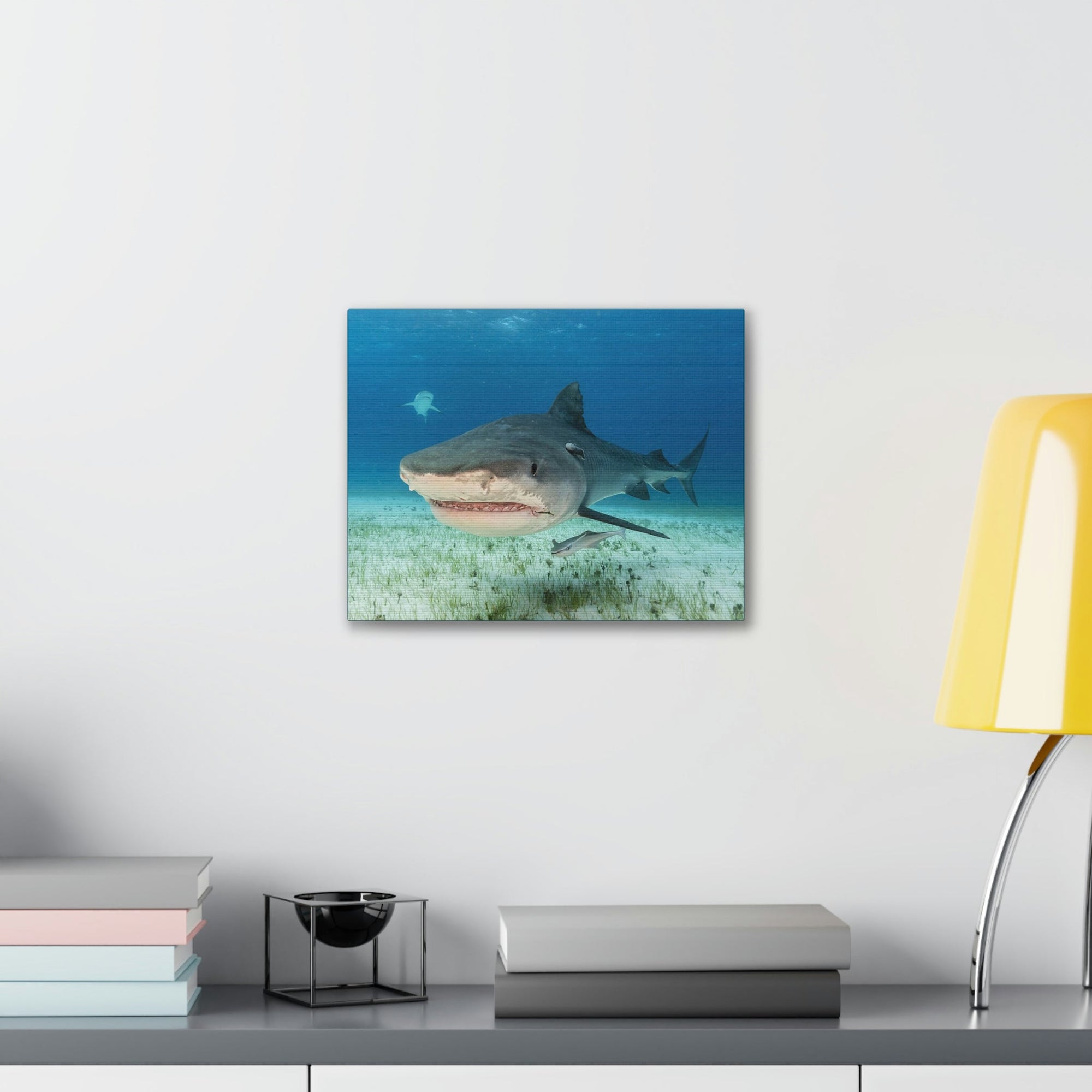 Scripture Walls Majestic Tiger Shark Art Majestic Tiger Shark Print Animal Wall Art Wildlife Canvas Prints Wall Art Ready to Hang Unframed-Express Your Love Gifts