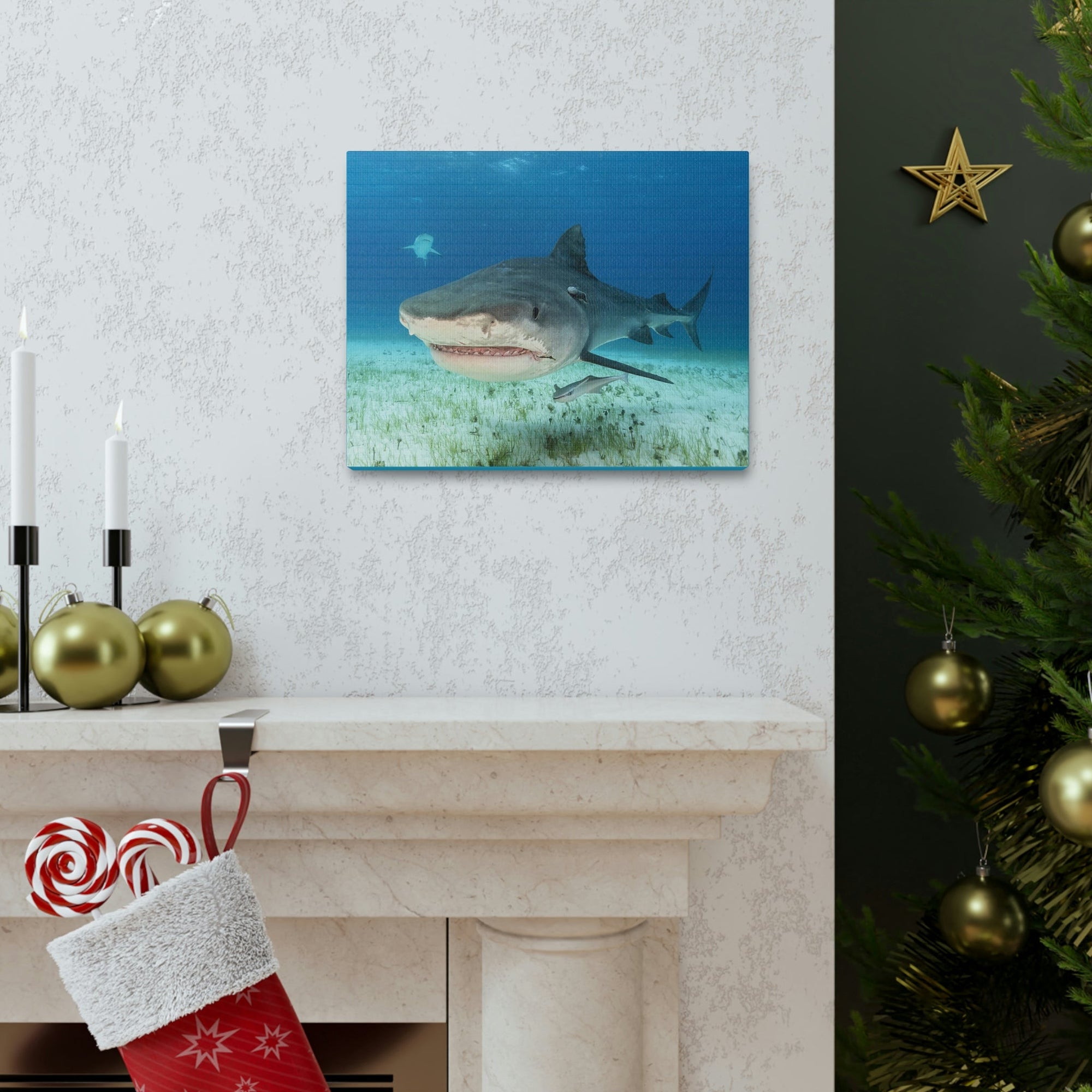 Scripture Walls Majestic Tiger Shark Art Majestic Tiger Shark Print Animal Wall Art Wildlife Canvas Prints Wall Art Ready to Hang Unframed-Express Your Love Gifts