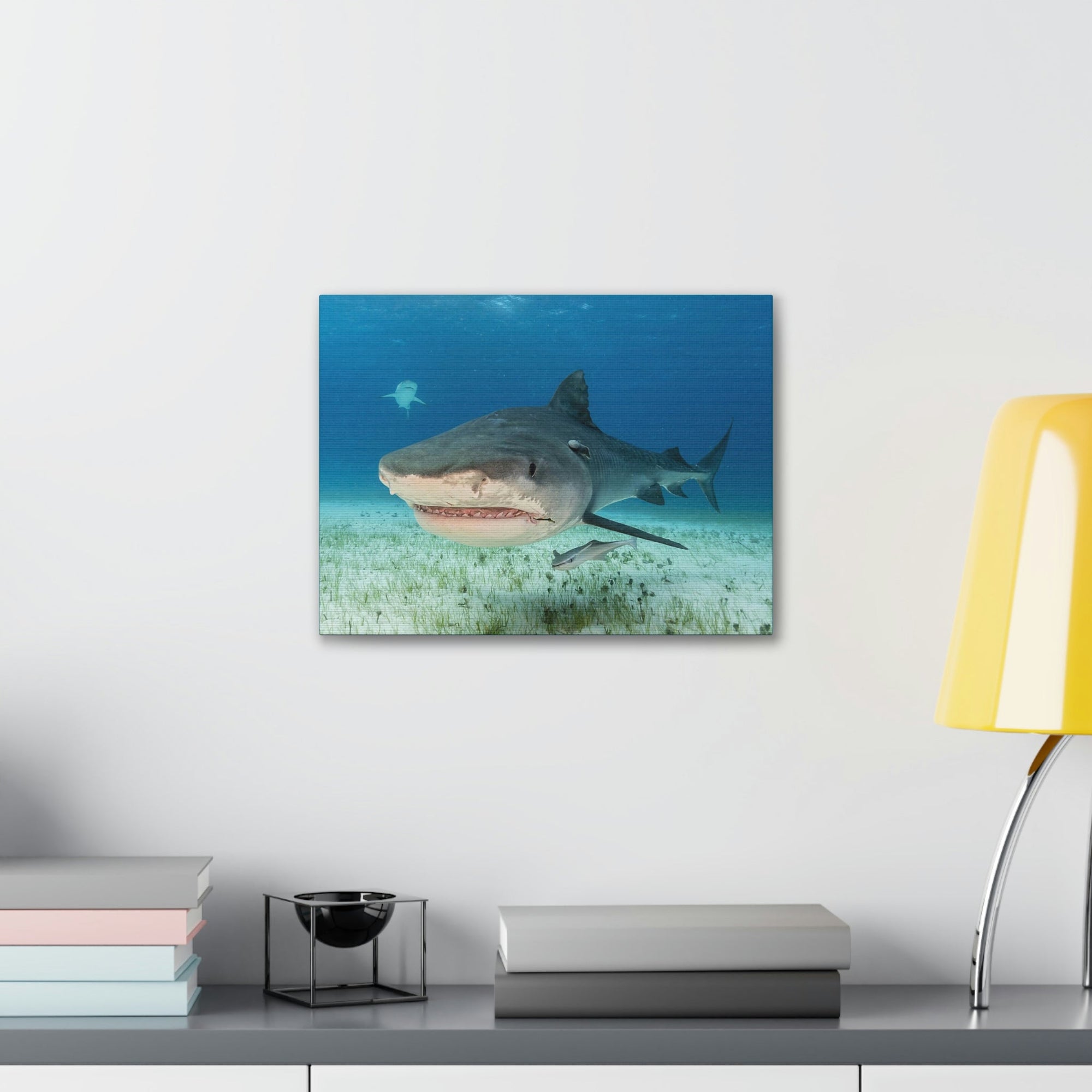 Scripture Walls Majestic Tiger Shark Art Majestic Tiger Shark Print Animal Wall Art Wildlife Canvas Prints Wall Art Ready to Hang Unframed-Express Your Love Gifts