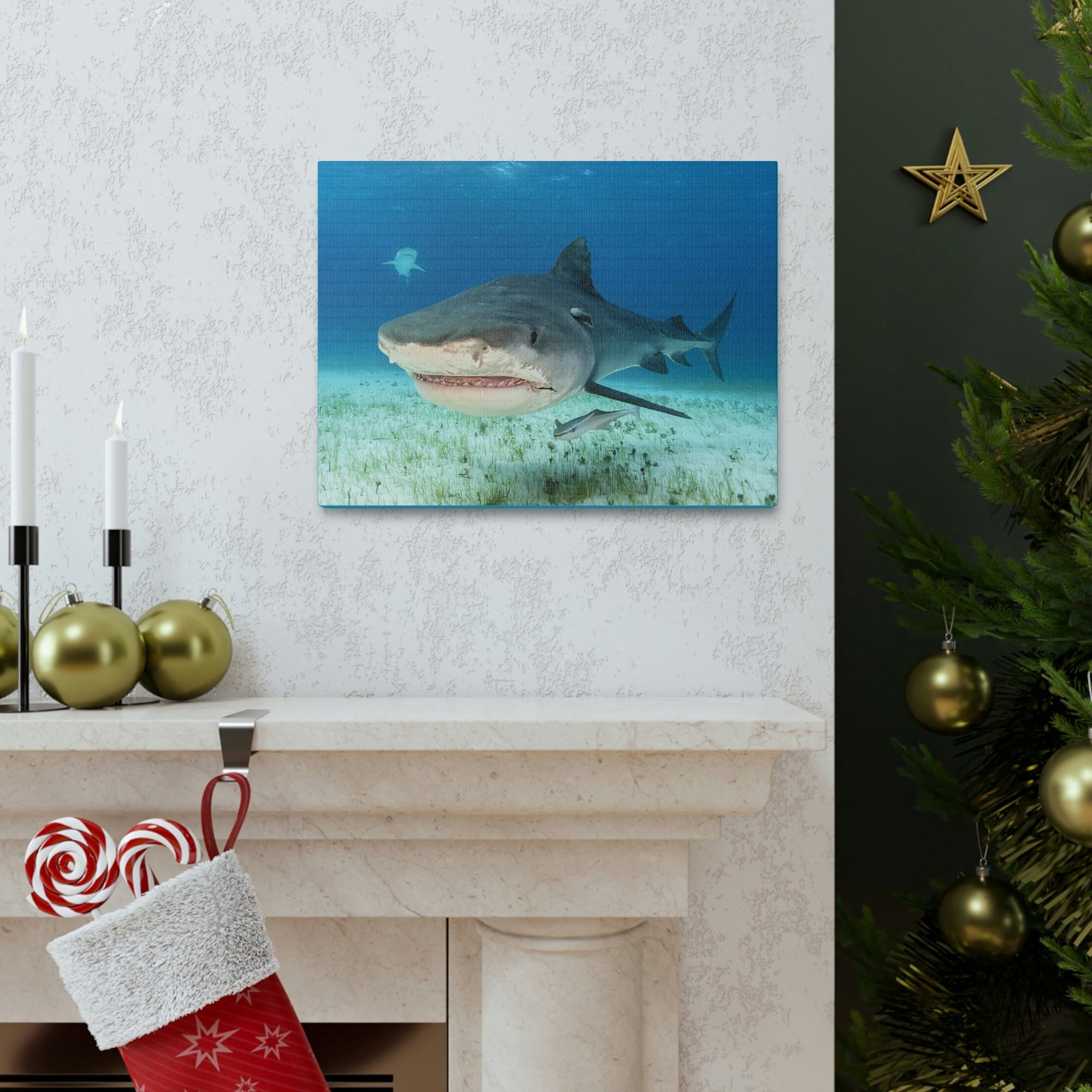 Scripture Walls Majestic Tiger Shark Art Majestic Tiger Shark Print Animal Wall Art Wildlife Canvas Prints Wall Art Ready to Hang Unframed-Express Your Love Gifts