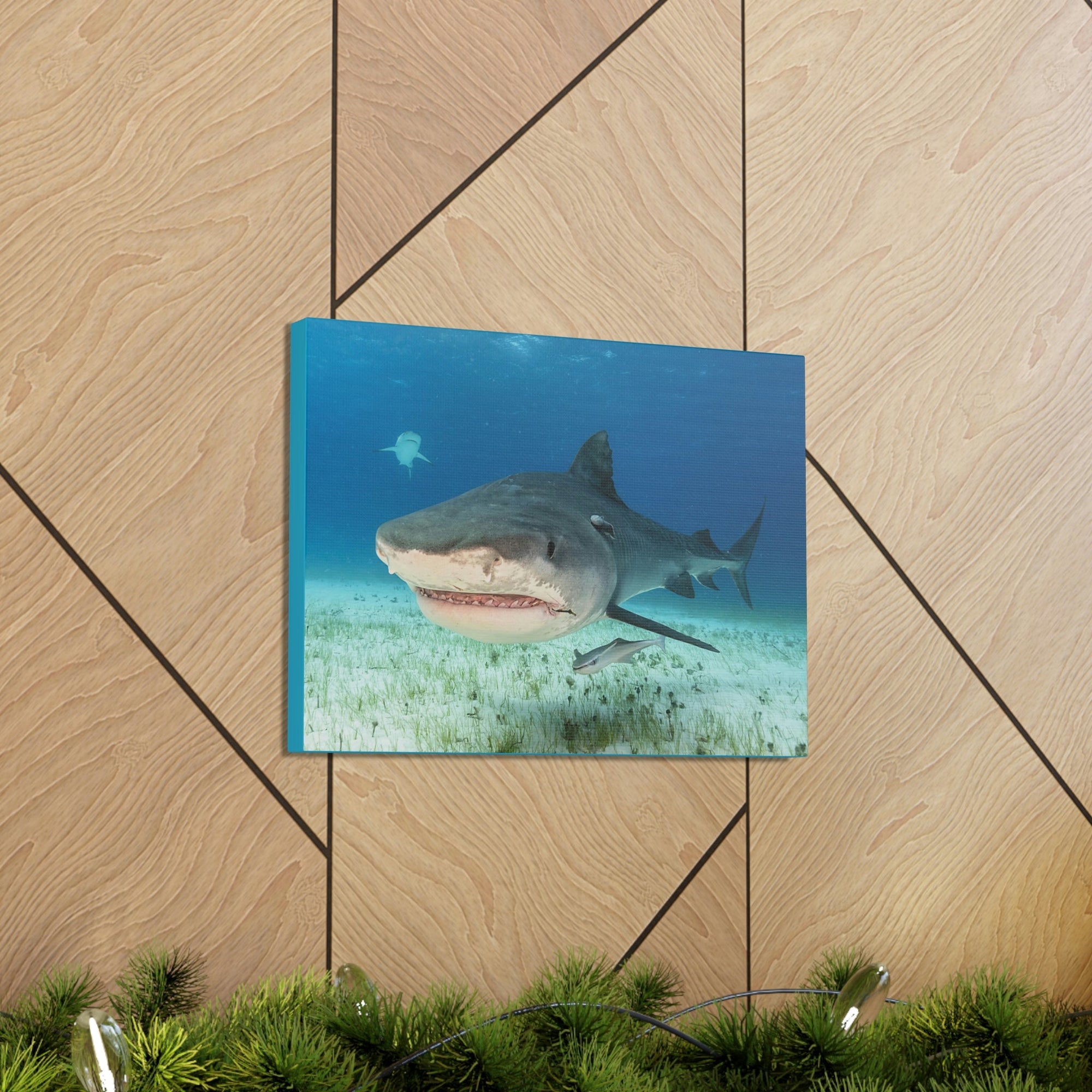 Scripture Walls Majestic Tiger Shark Art Majestic Tiger Shark Print Animal Wall Art Wildlife Canvas Prints Wall Art Ready to Hang Unframed-Express Your Love Gifts