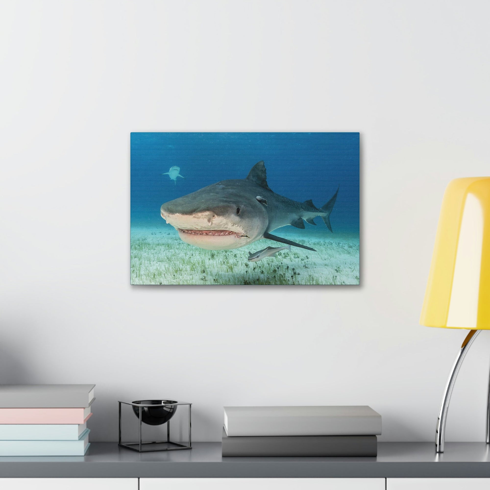 Scripture Walls Majestic Tiger Shark Art Majestic Tiger Shark Print Animal Wall Art Wildlife Canvas Prints Wall Art Ready to Hang Unframed-Express Your Love Gifts