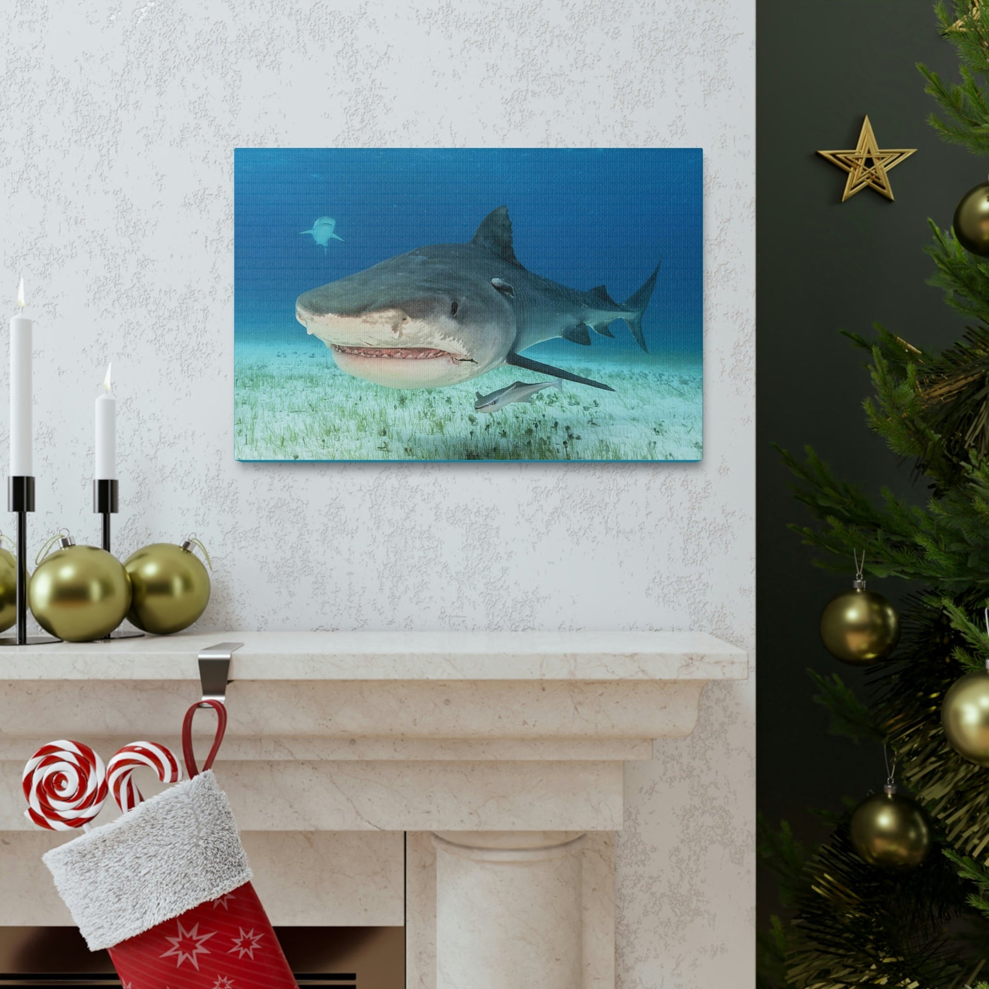 Scripture Walls Majestic Tiger Shark Art Majestic Tiger Shark Print Animal Wall Art Wildlife Canvas Prints Wall Art Ready to Hang Unframed-Express Your Love Gifts