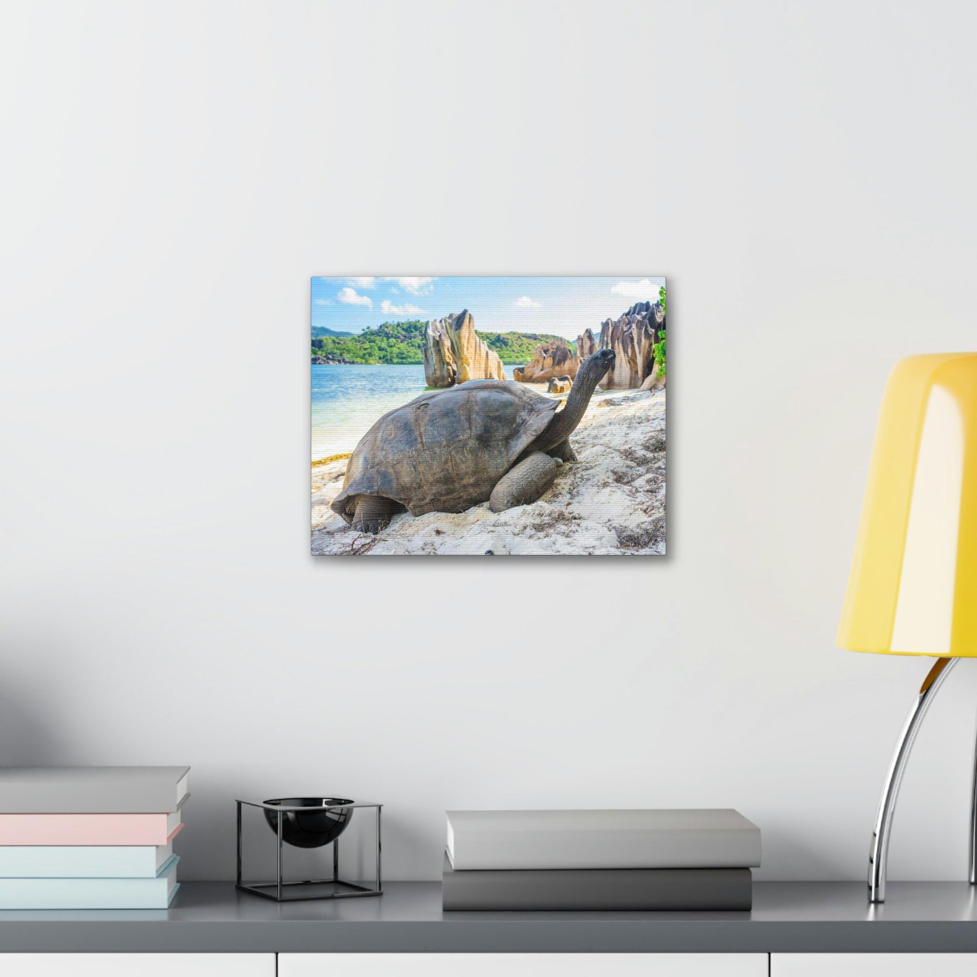 Scripture Walls Majestic Tortoise Art Majestic Tortoise Print Animal Wall Art Wildlife Canvas Prints Wall Art Ready to Hang Unframed-Express Your Love Gifts